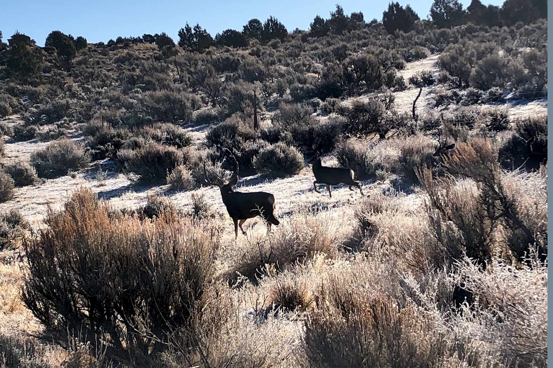 Bitter Creek Ranch property picture 34 of 135