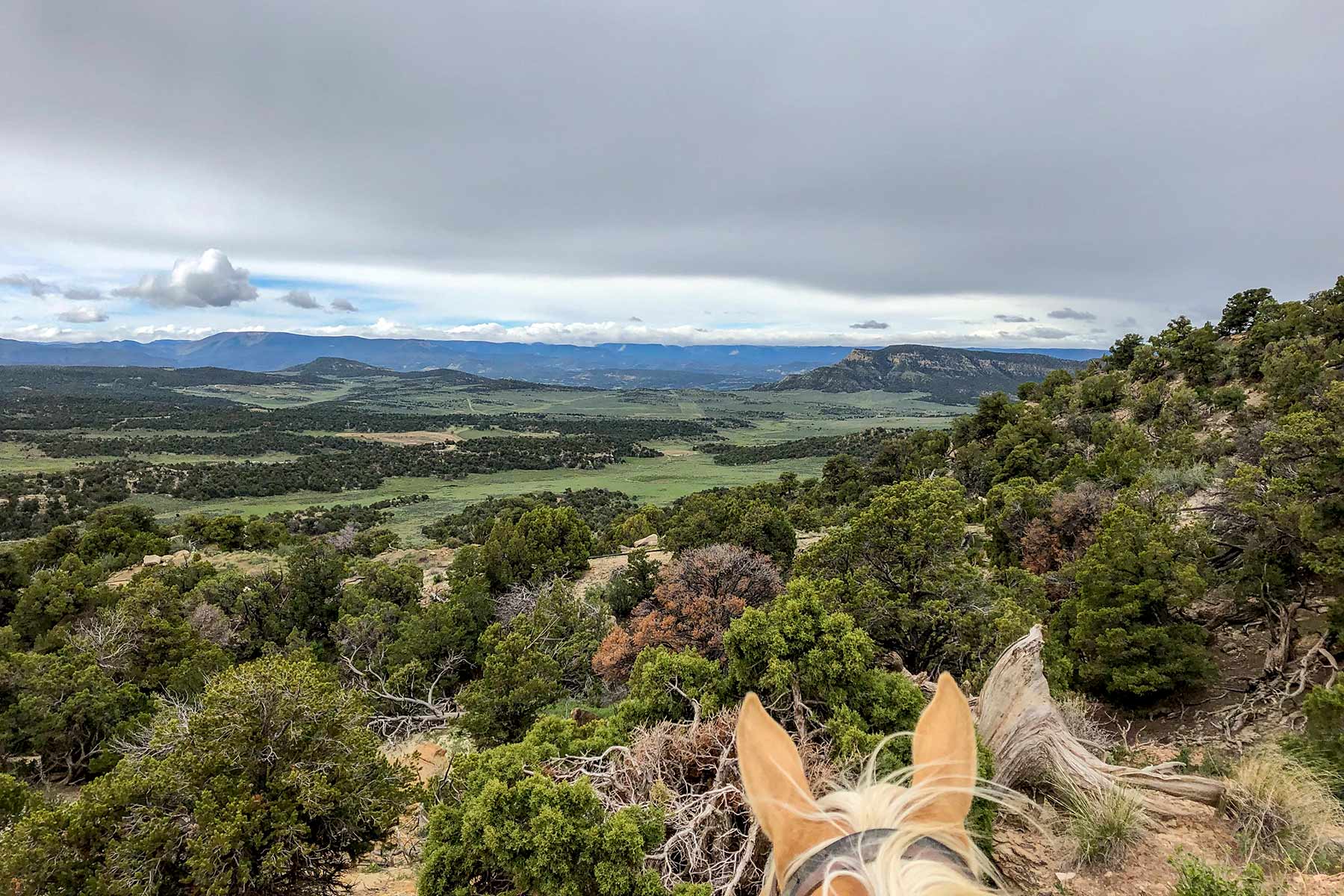 Bitter Creek Ranch property picture 39 of 135