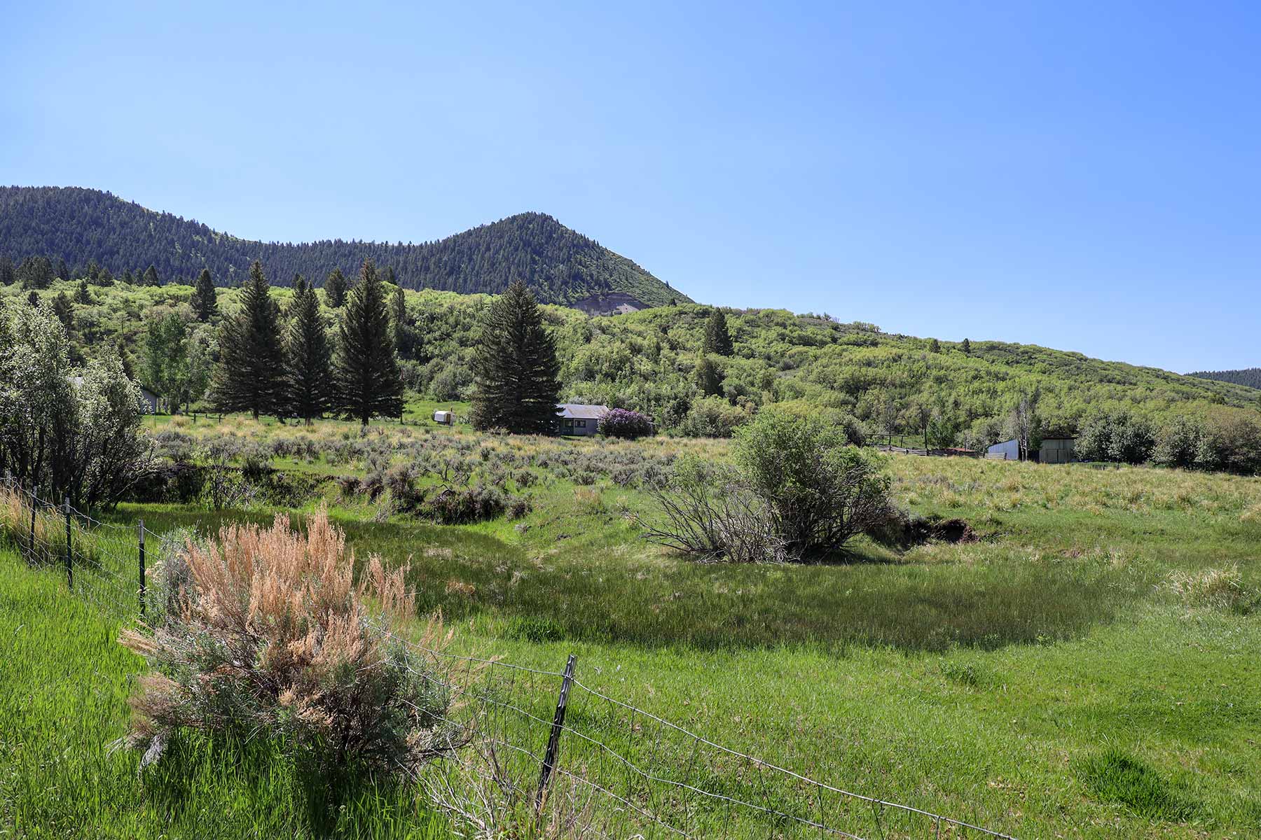 Bitter Creek Ranch property picture 103 of 135