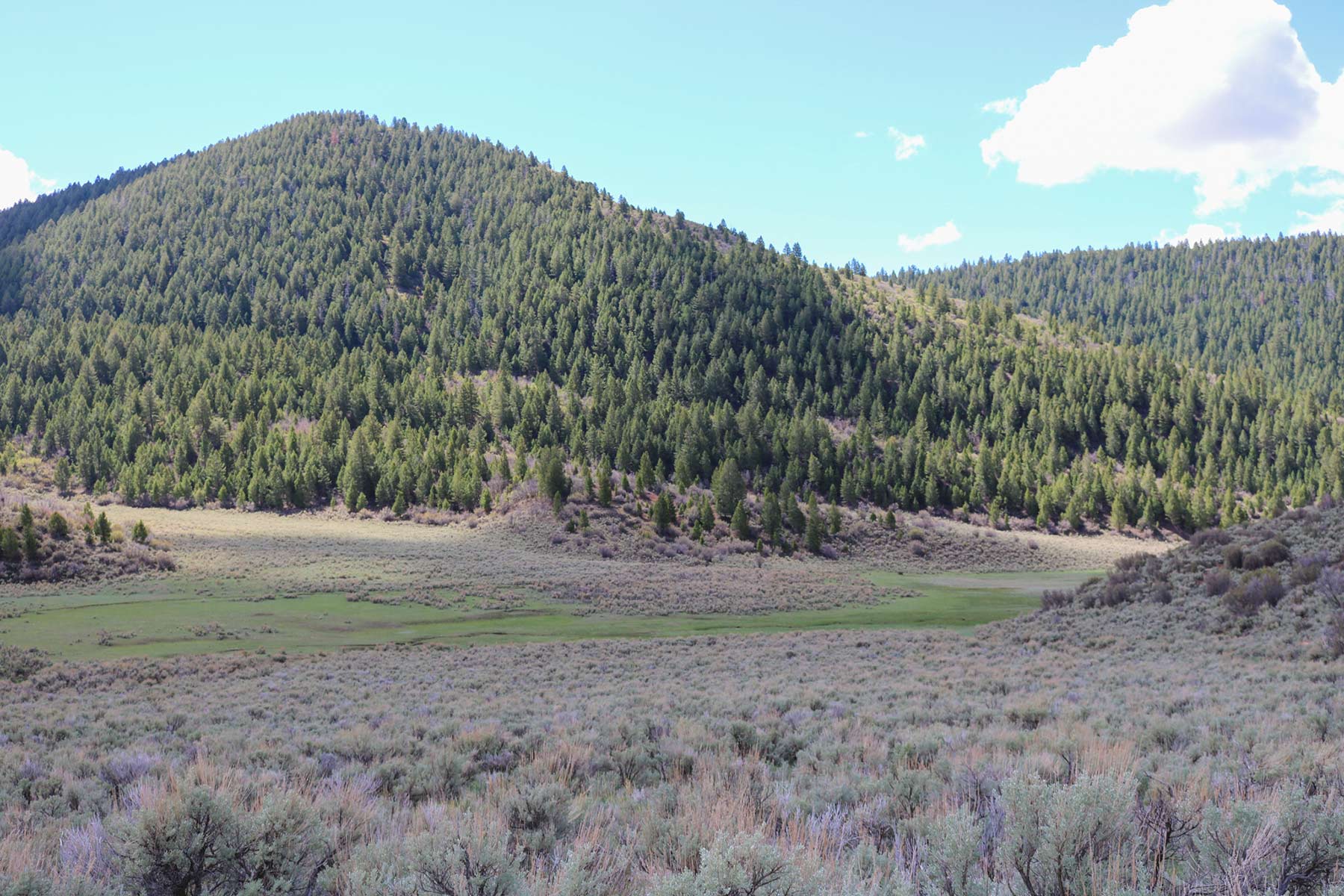 Bitter Creek Ranch property picture 61 of 135