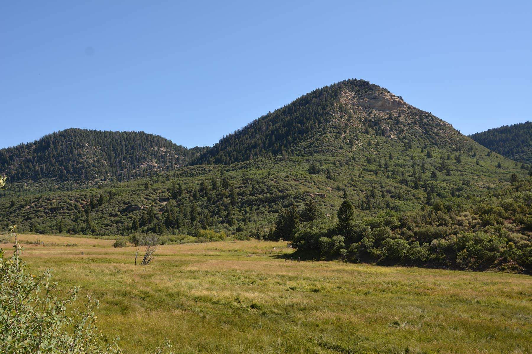 Bitter Creek Ranch property picture 26 of 135