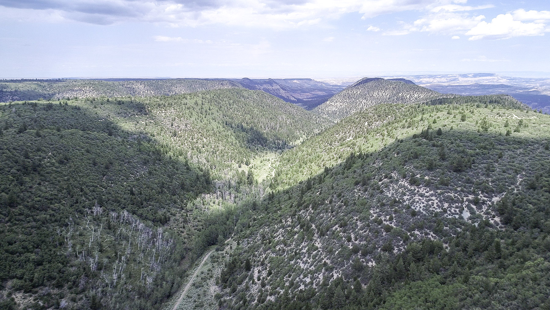 Bitter Creek Ranch property picture 134 of 135