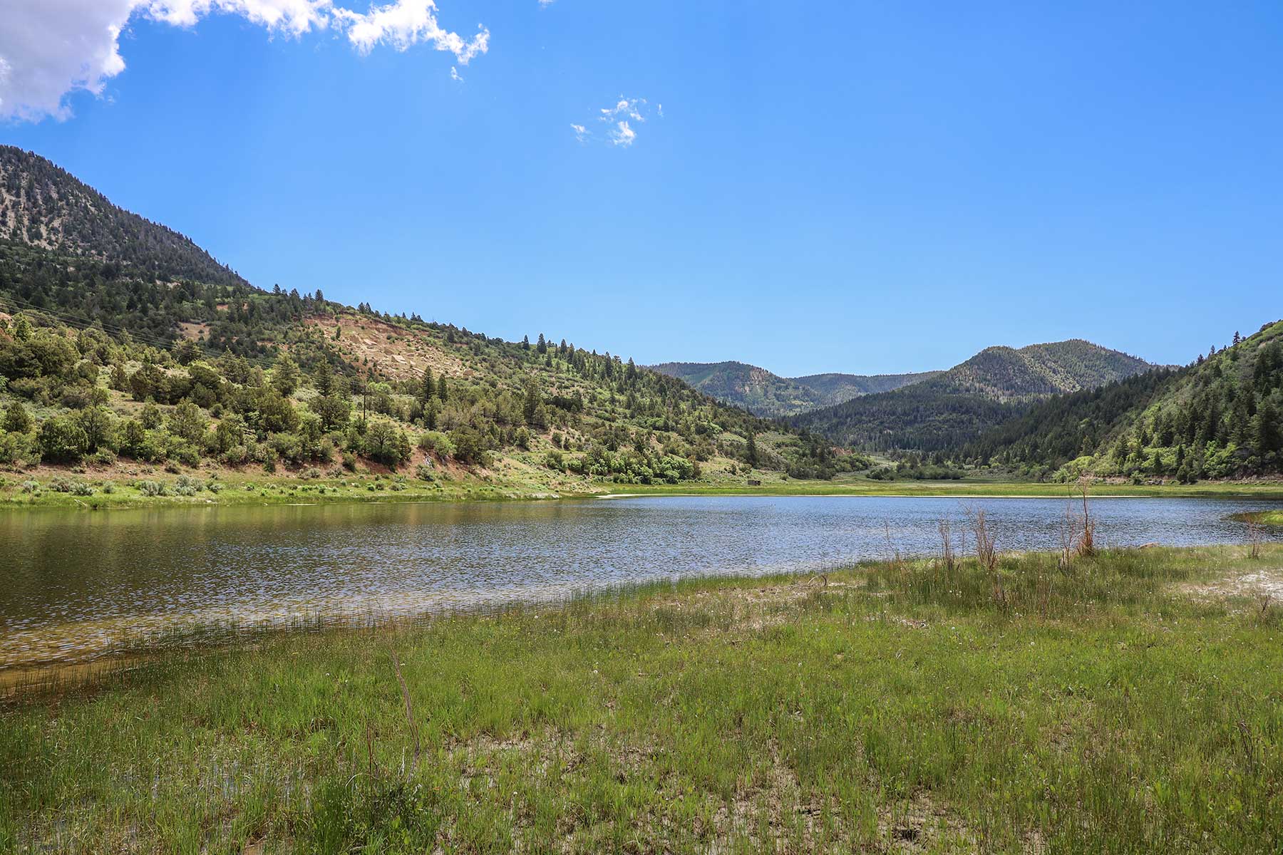 Bitter Creek Ranch property picture 107 of 135