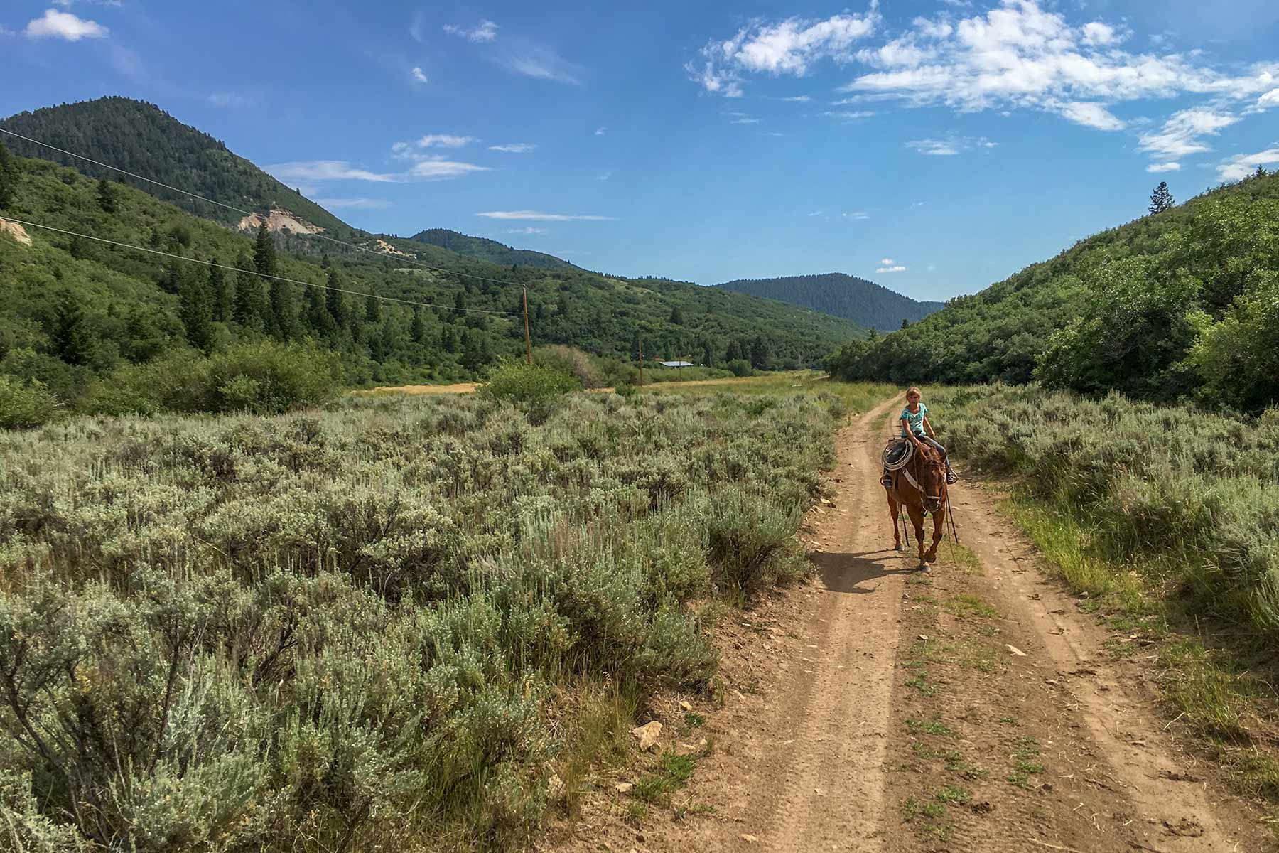 Bitter Creek Ranch Sold Colorado Hall and Hall