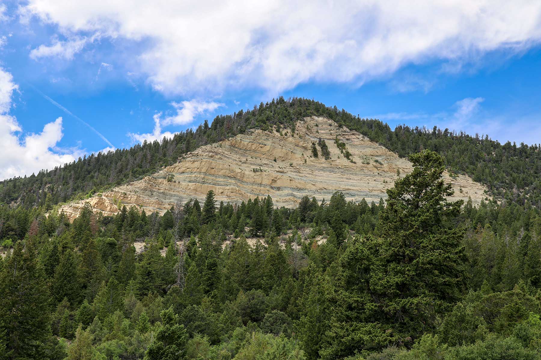 Bitter Creek Ranch property picture 108 of 135