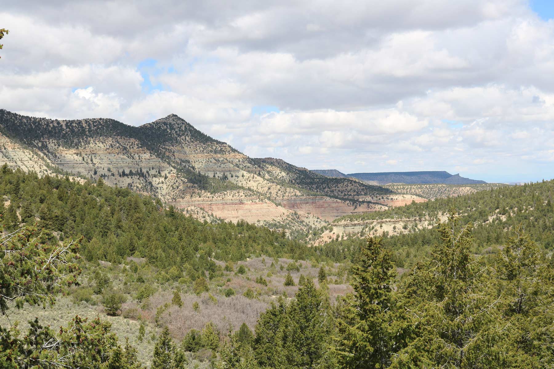 Bitter Creek Ranch property picture 69 of 135