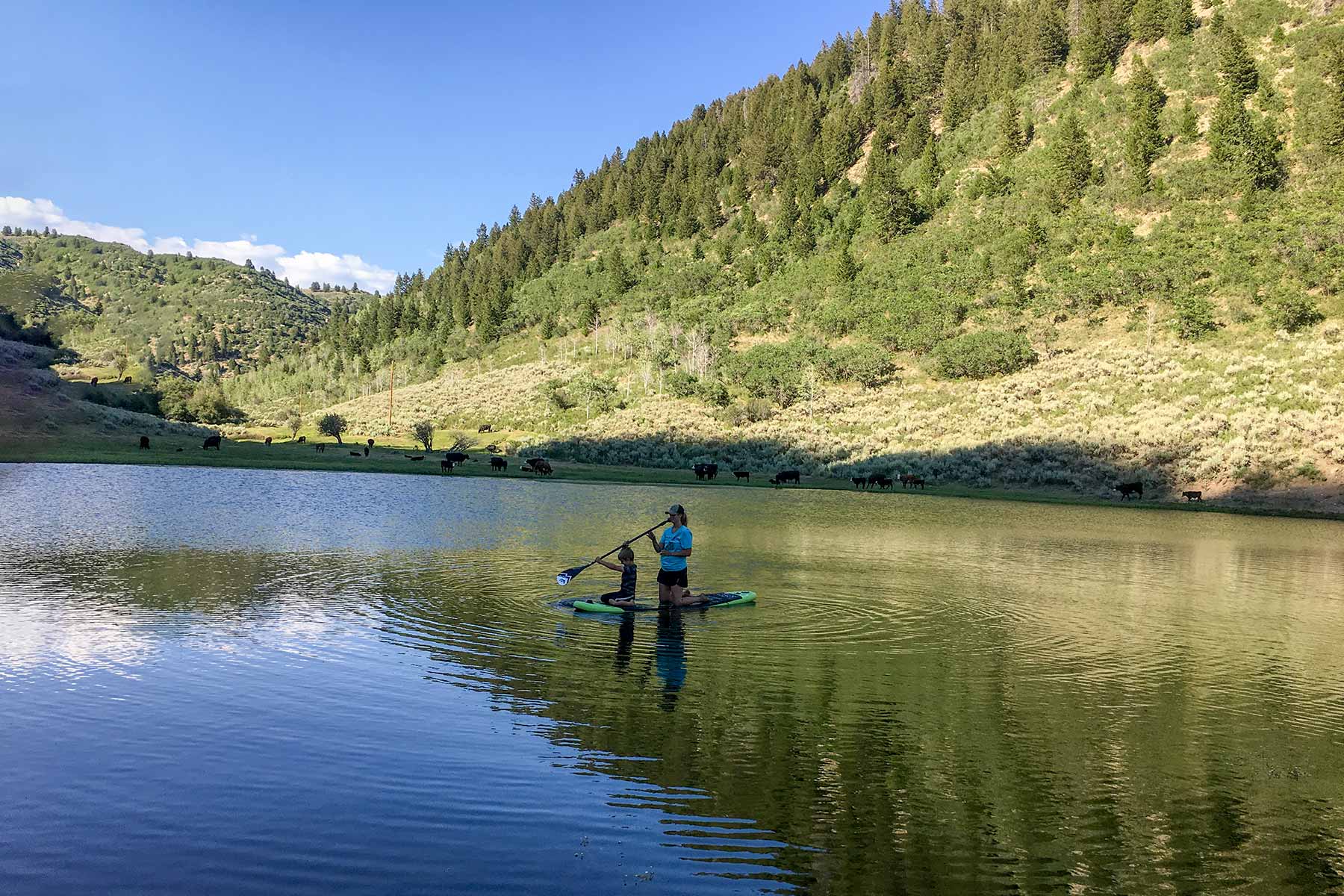 Bitter Creek Ranch property picture 36 of 135