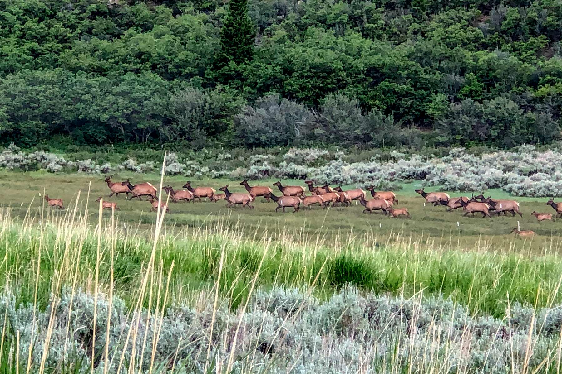 Bitter Creek Ranch property picture 5 of 135