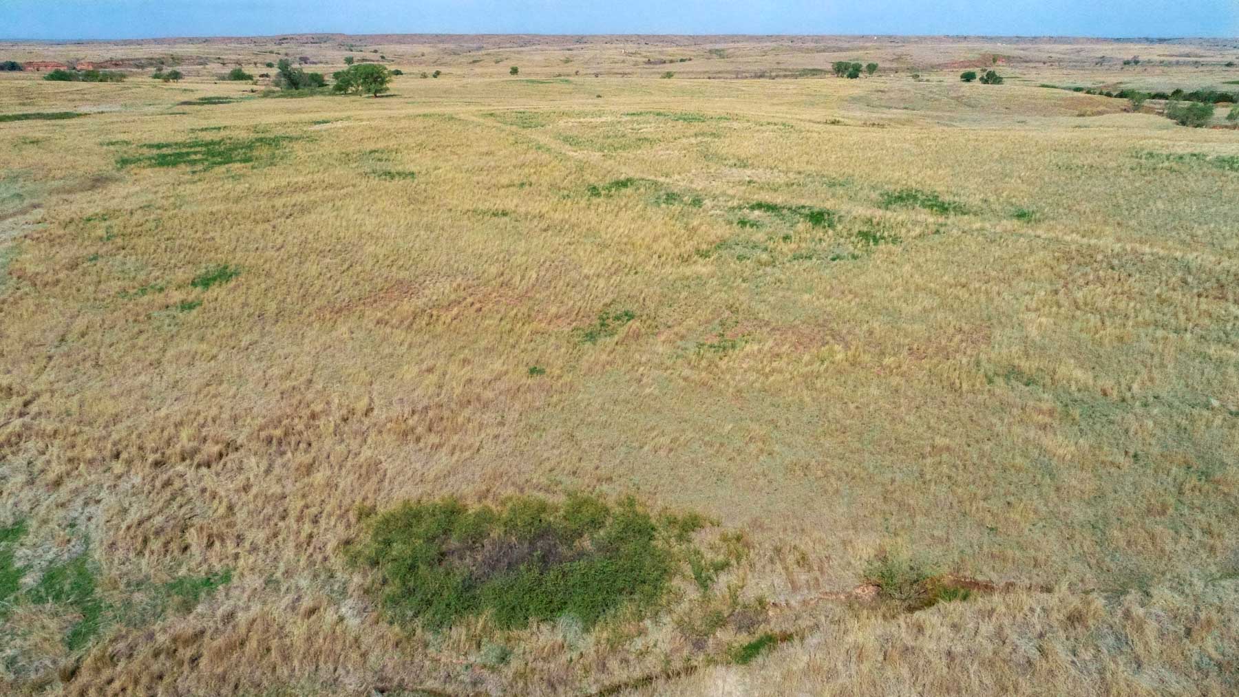 Wheat Ranch property picture 17 of 35