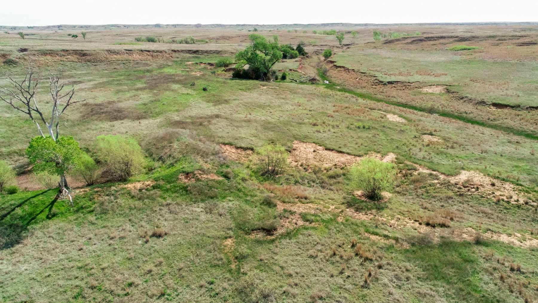 Wheat Ranch property picture 15 of 35