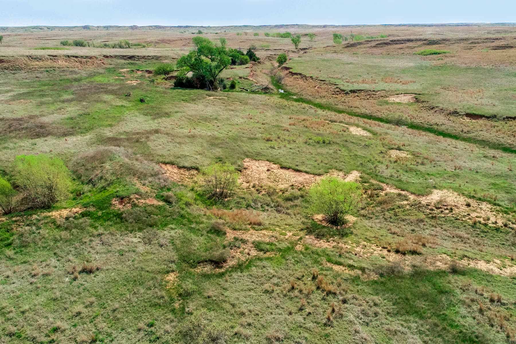 Wheat Ranch property picture 13 of 35