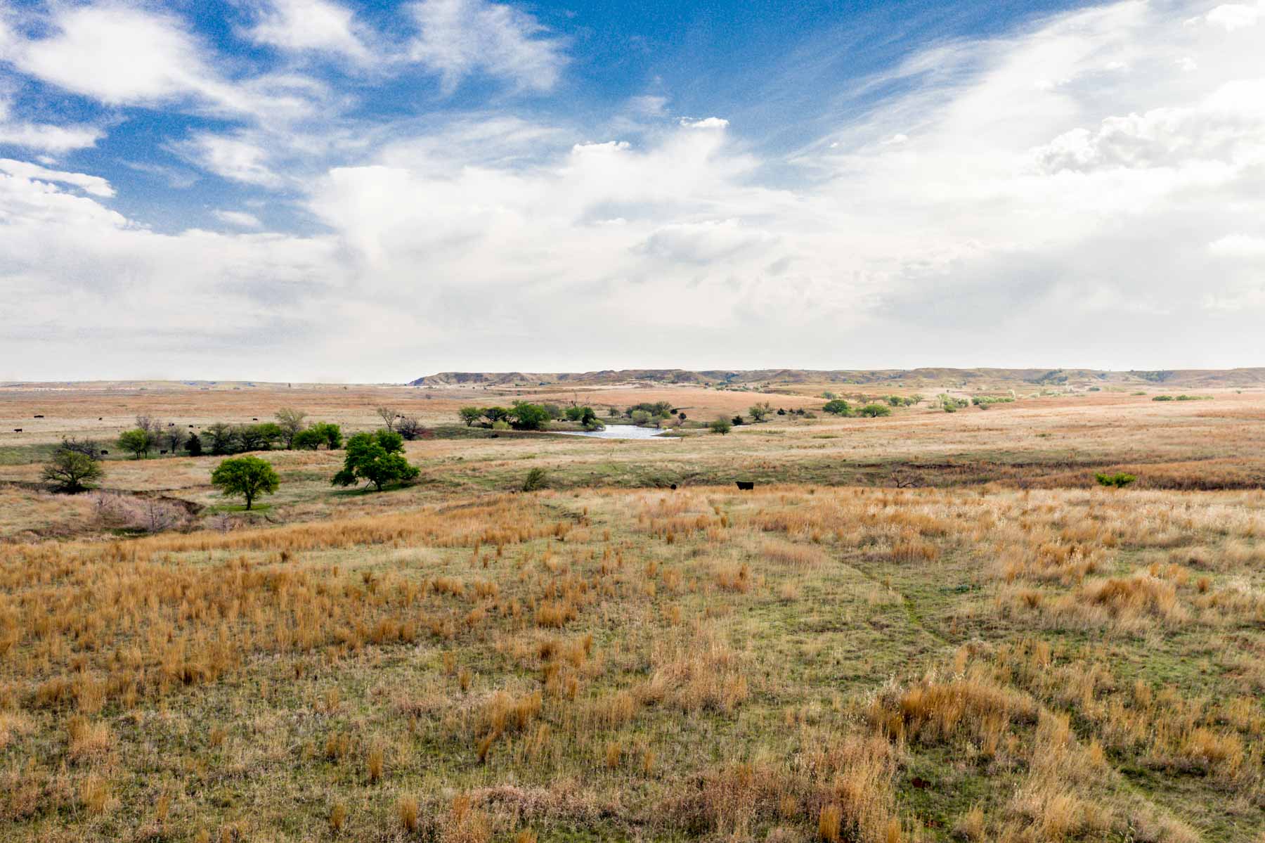 Wheat Ranch property picture 9 of 35