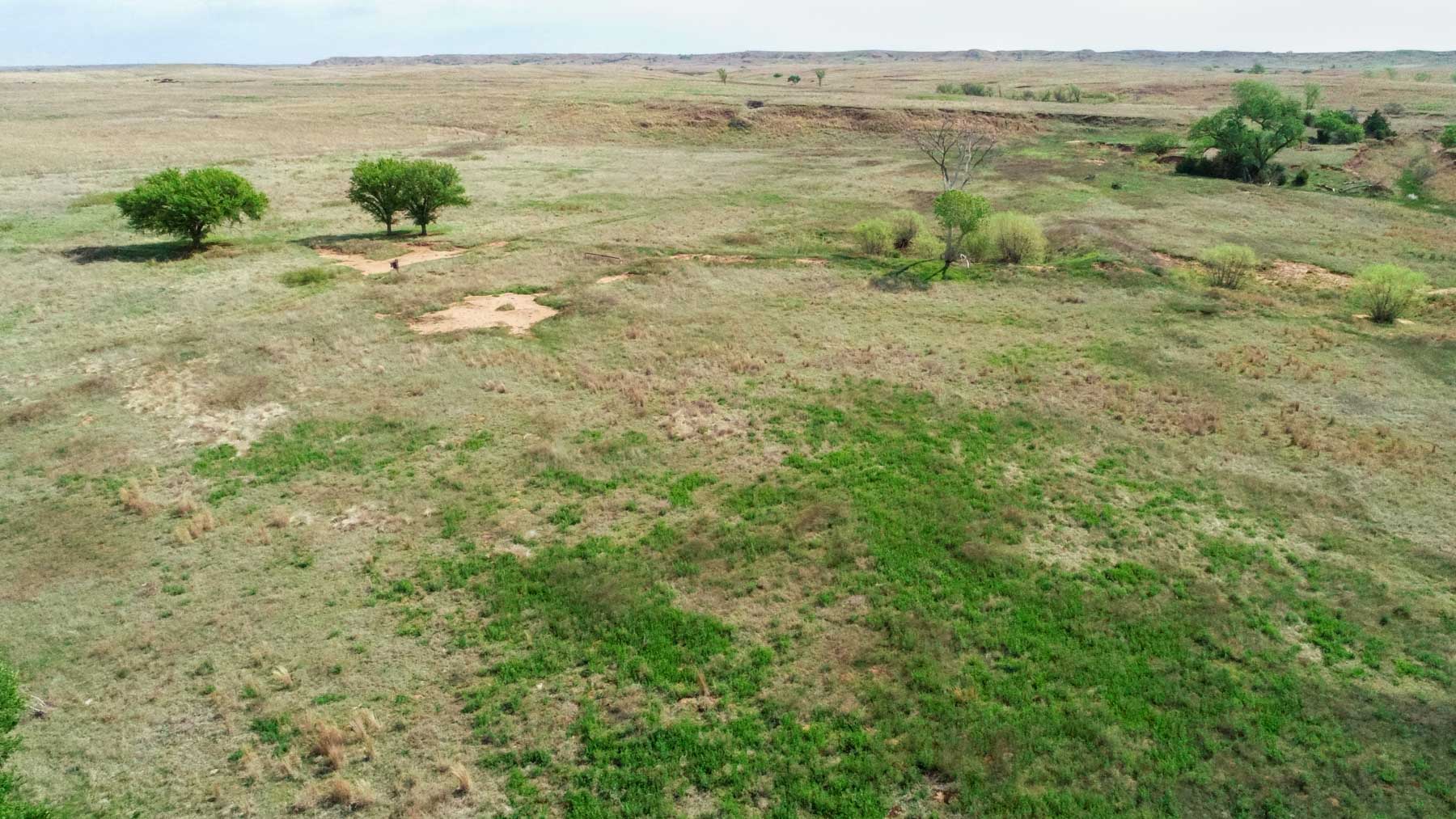 Wheat Ranch property picture 5 of 35