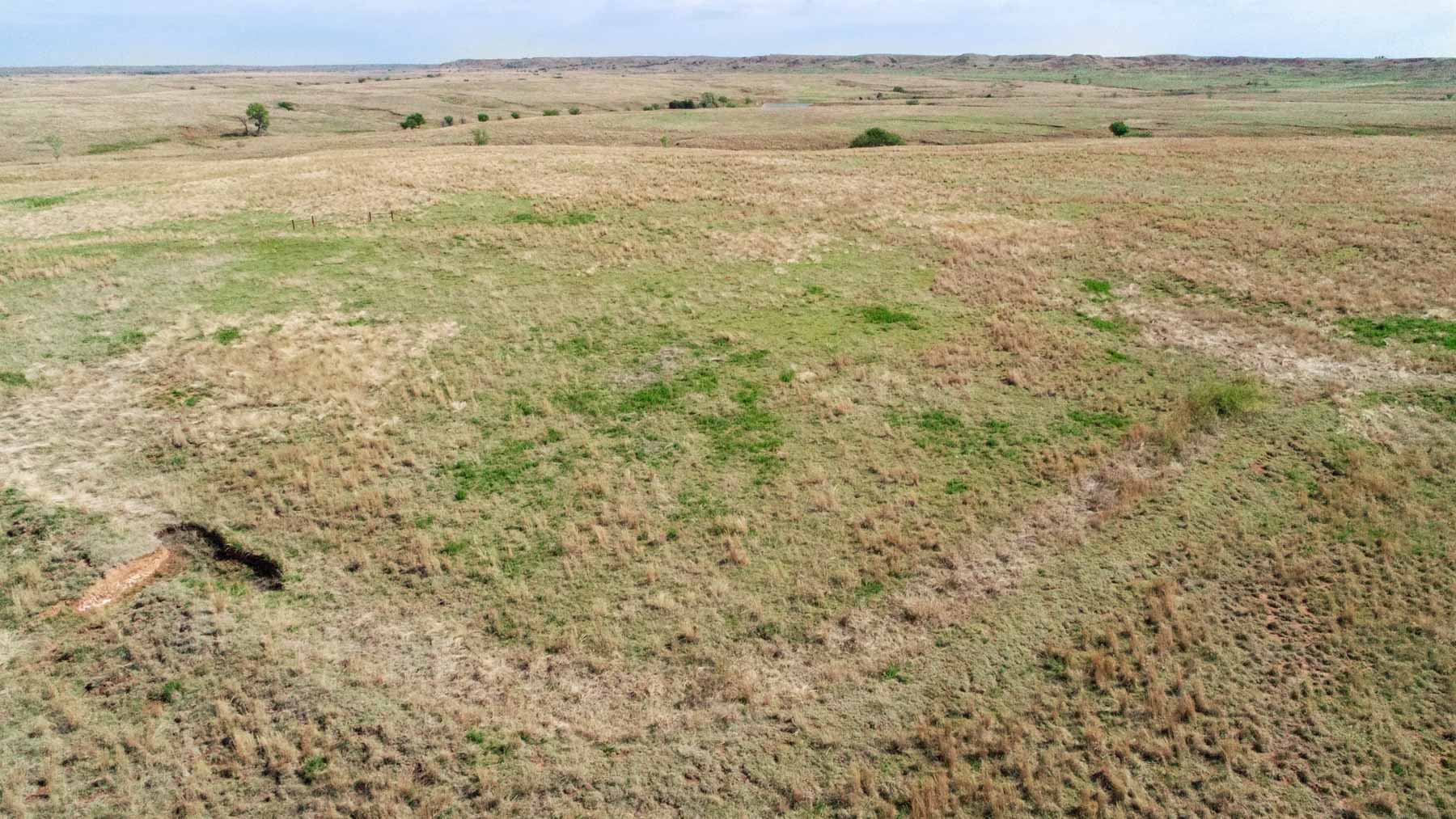 Wheat Ranch property picture 19 of 35