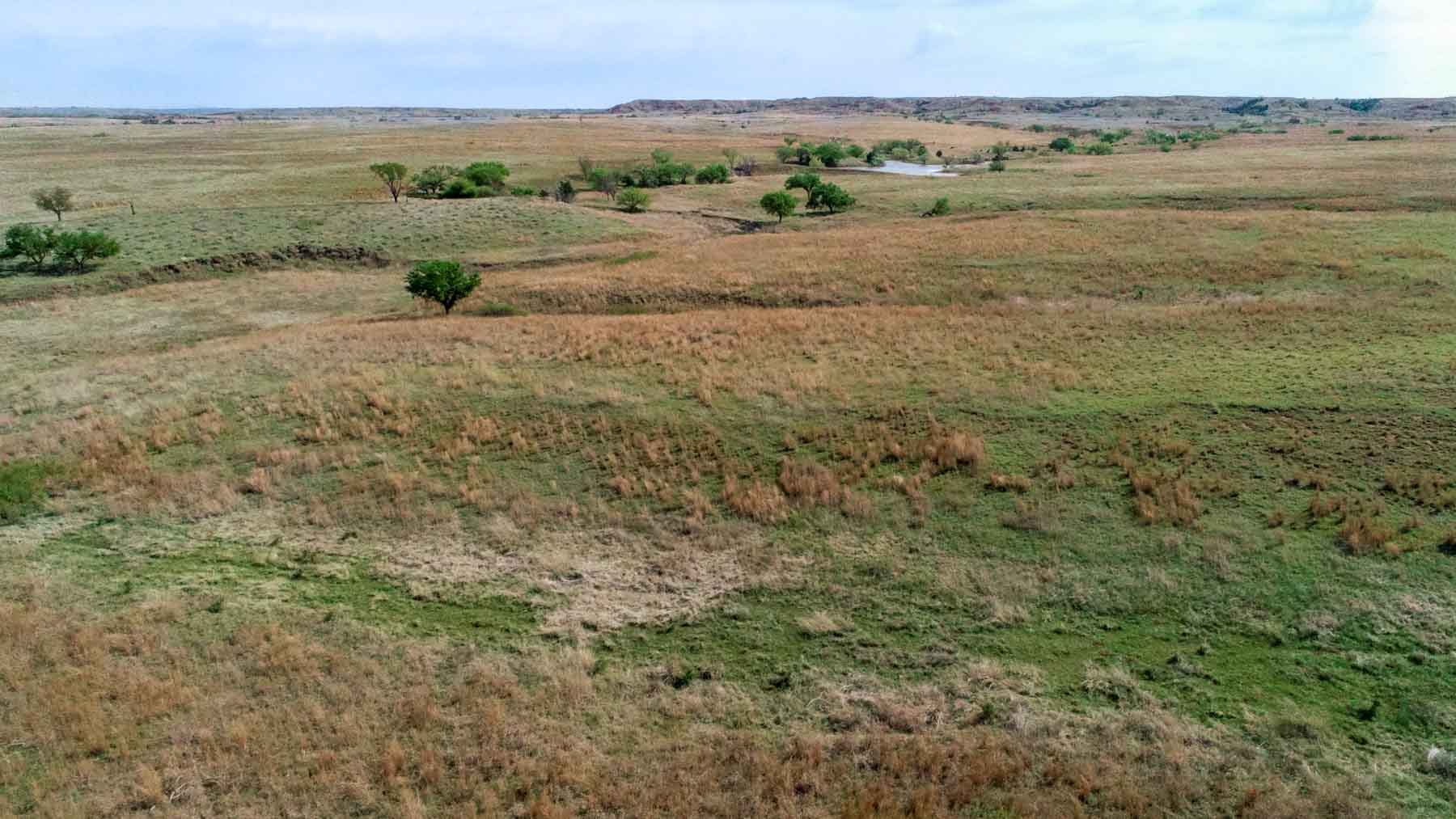 Wheat Ranch property picture 12 of 35