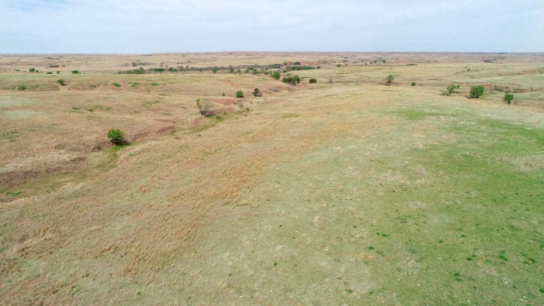 Wheat Ranch property picture 26 of 35