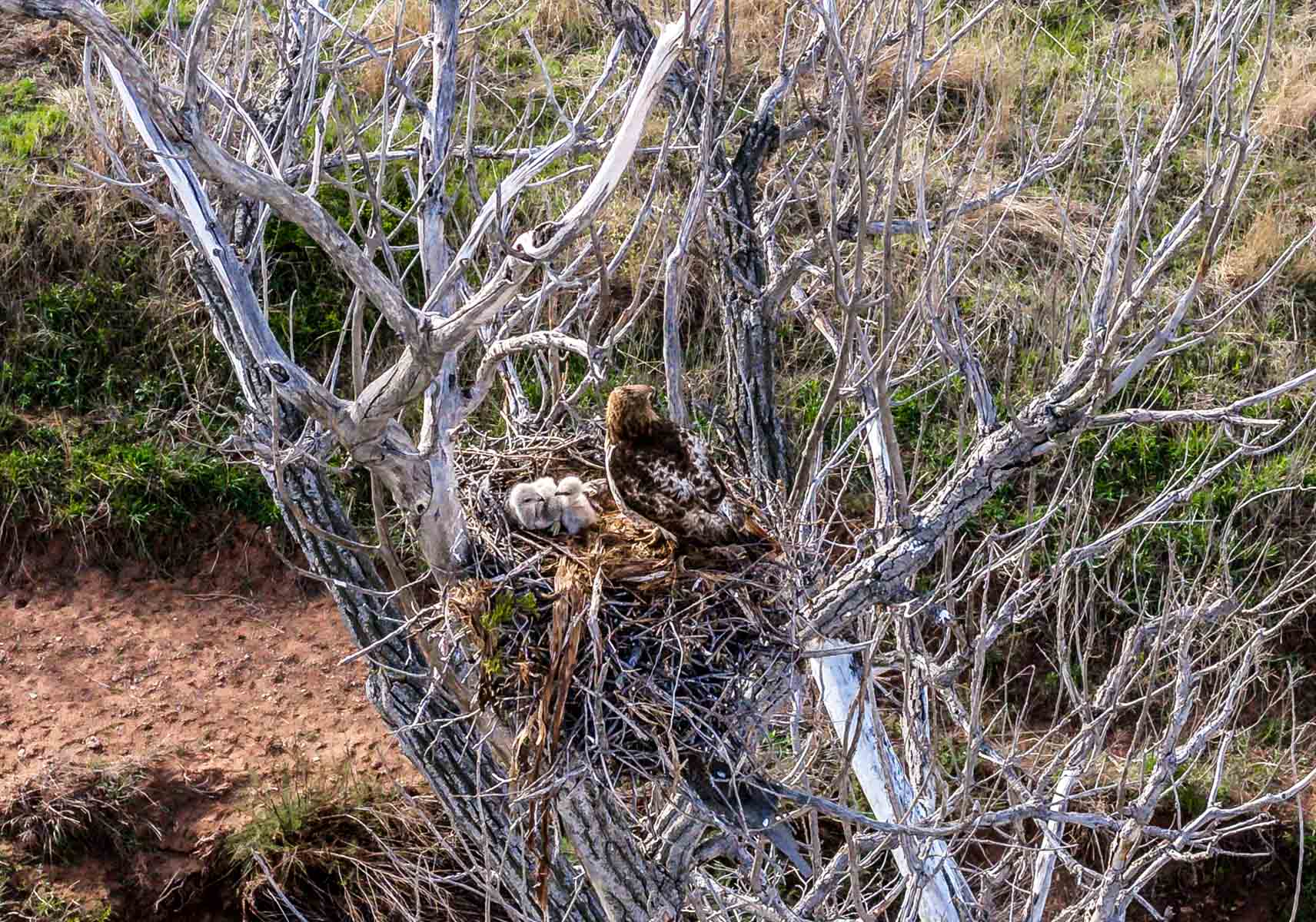Wheat Ranch property picture 7 of 35