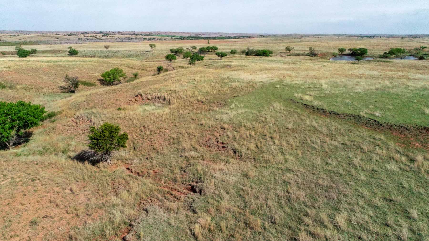 Wheat Ranch property picture 28 of 35
