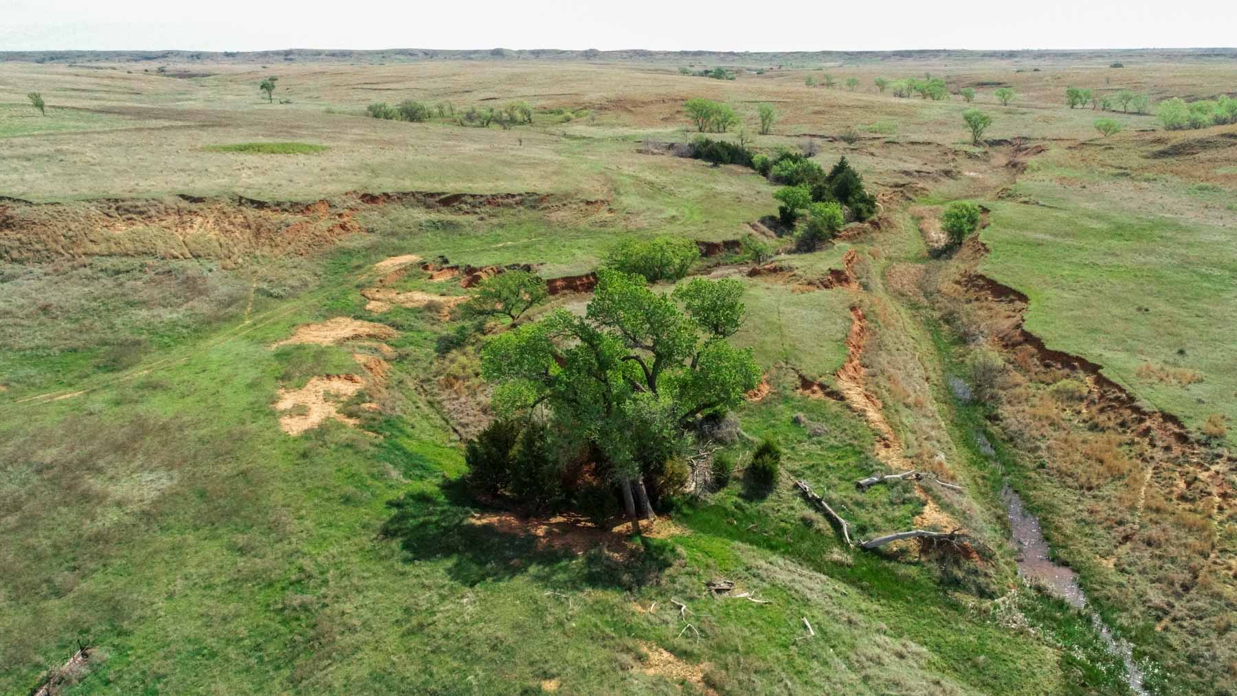 Wheat Ranch property picture 18 of 35