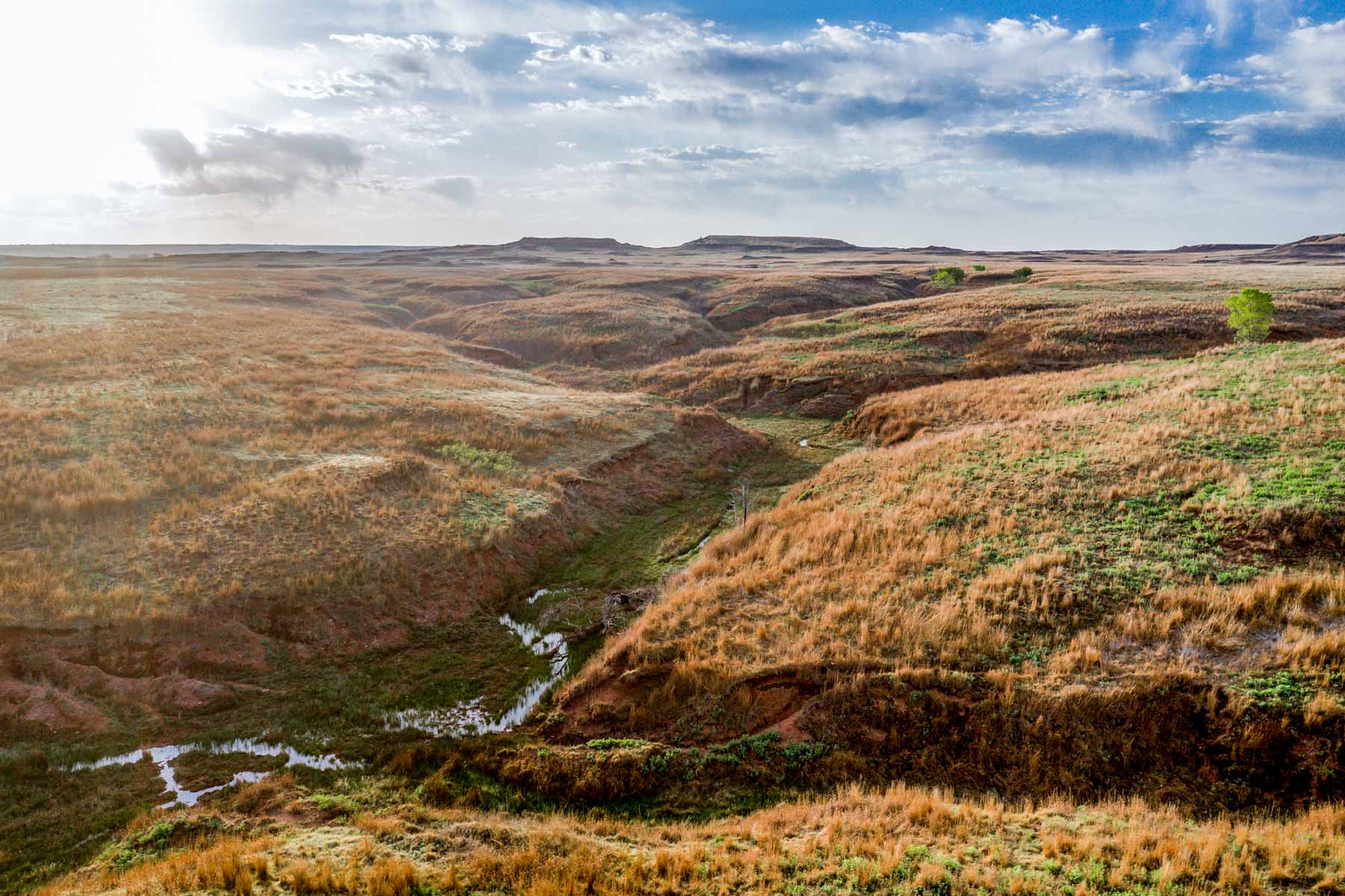 Wheat Ranch property picture 2 of 35