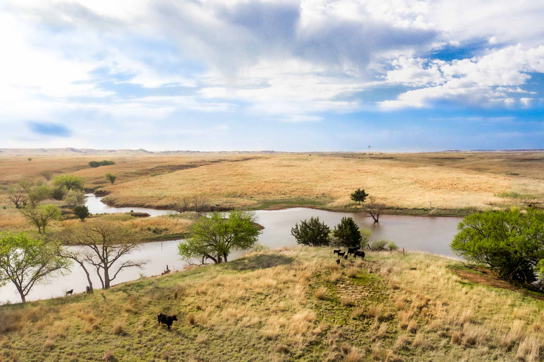 Wheat Ranch property picture 24 of 35
