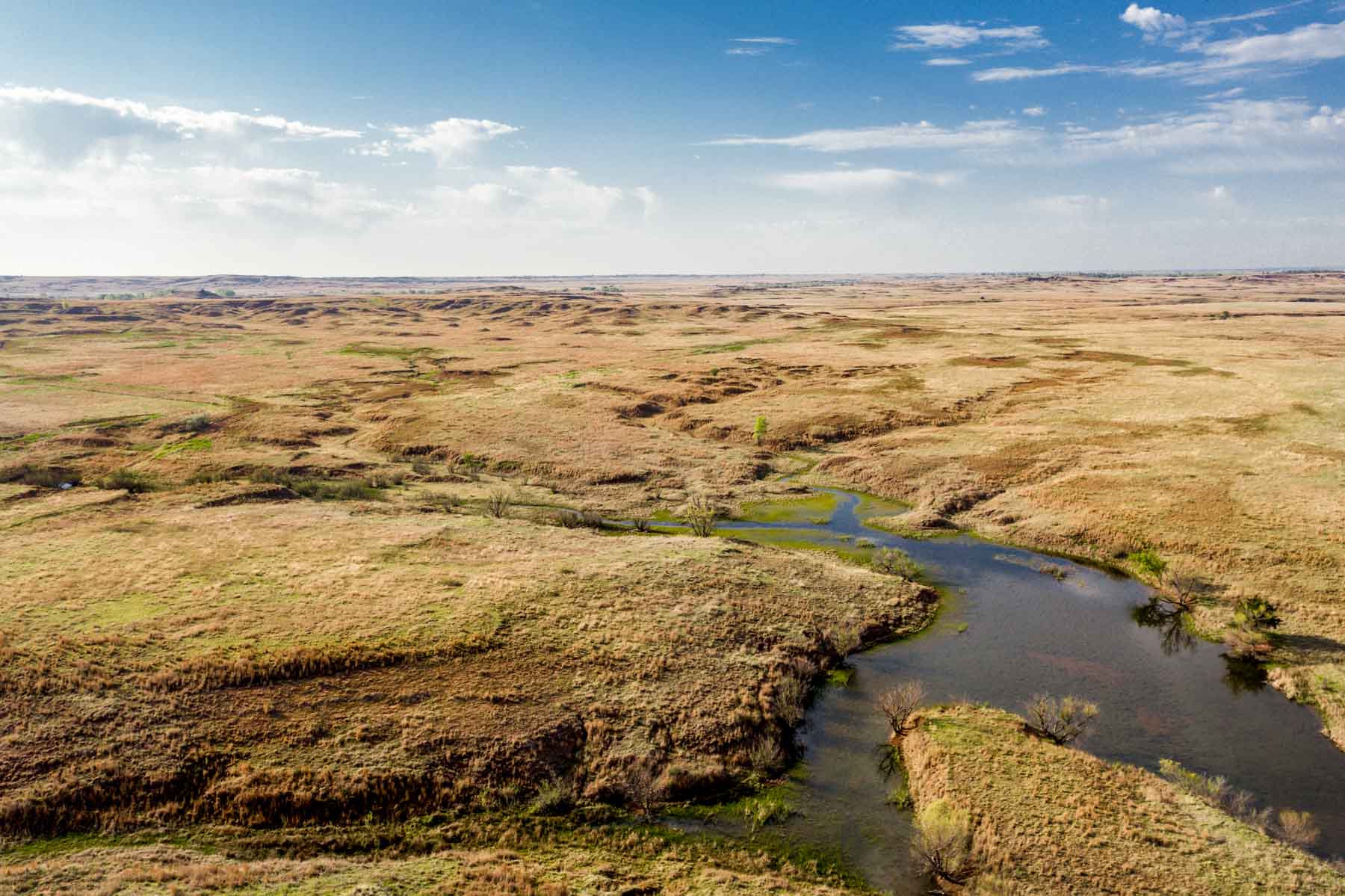 Wheat Ranch property picture 31 of 35