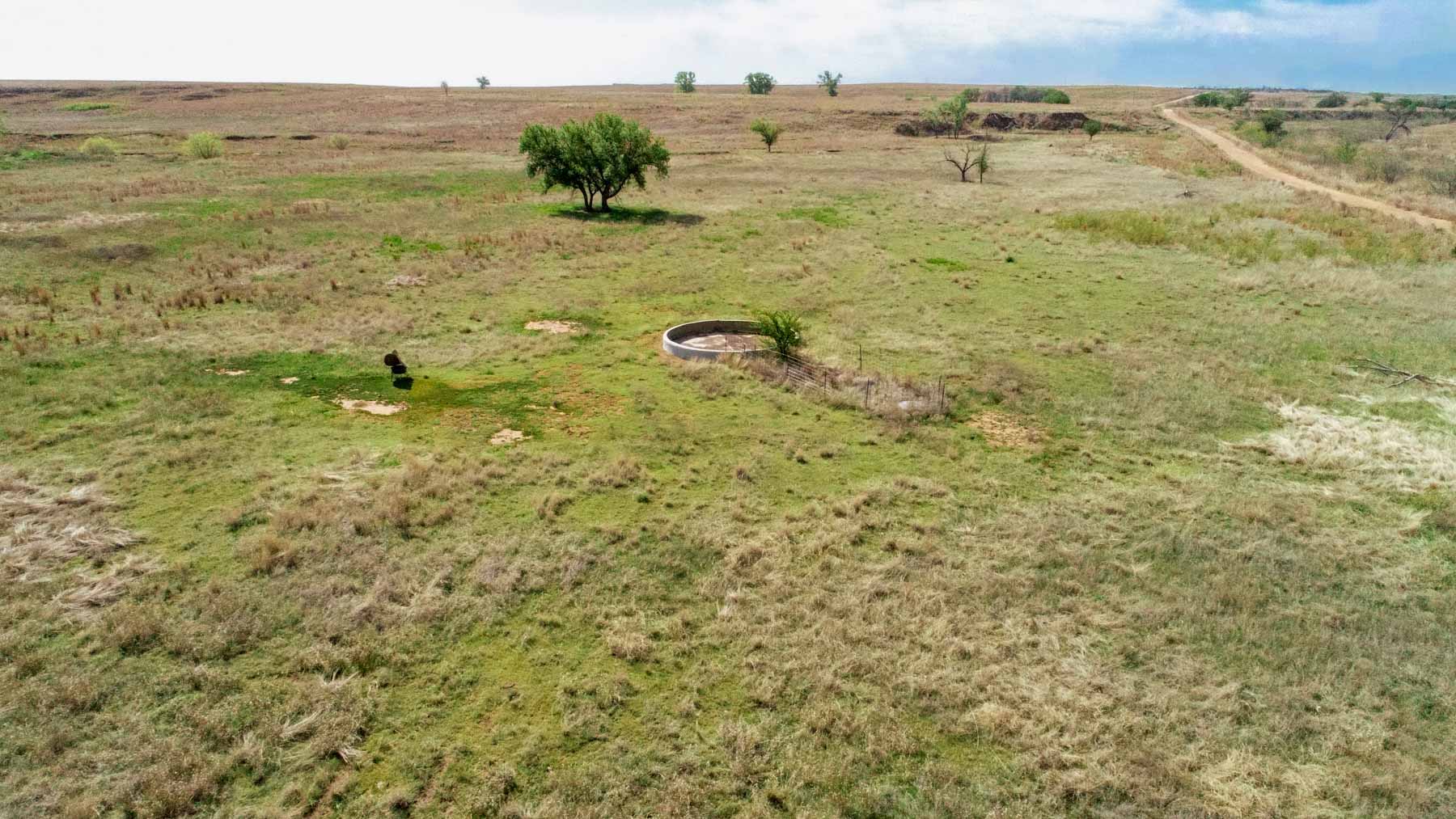 Wheat Ranch property picture 11 of 35