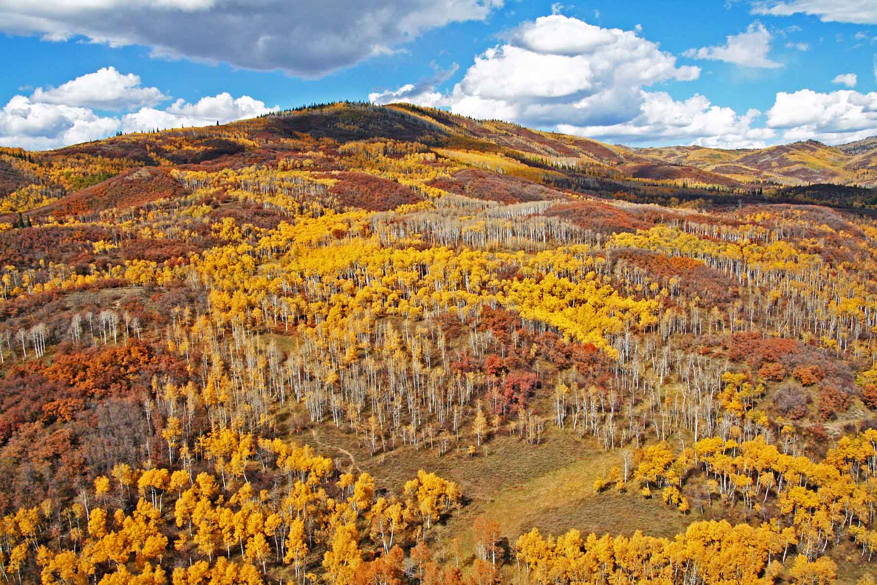 Strawberry Park Ranch property picture 4 of 68