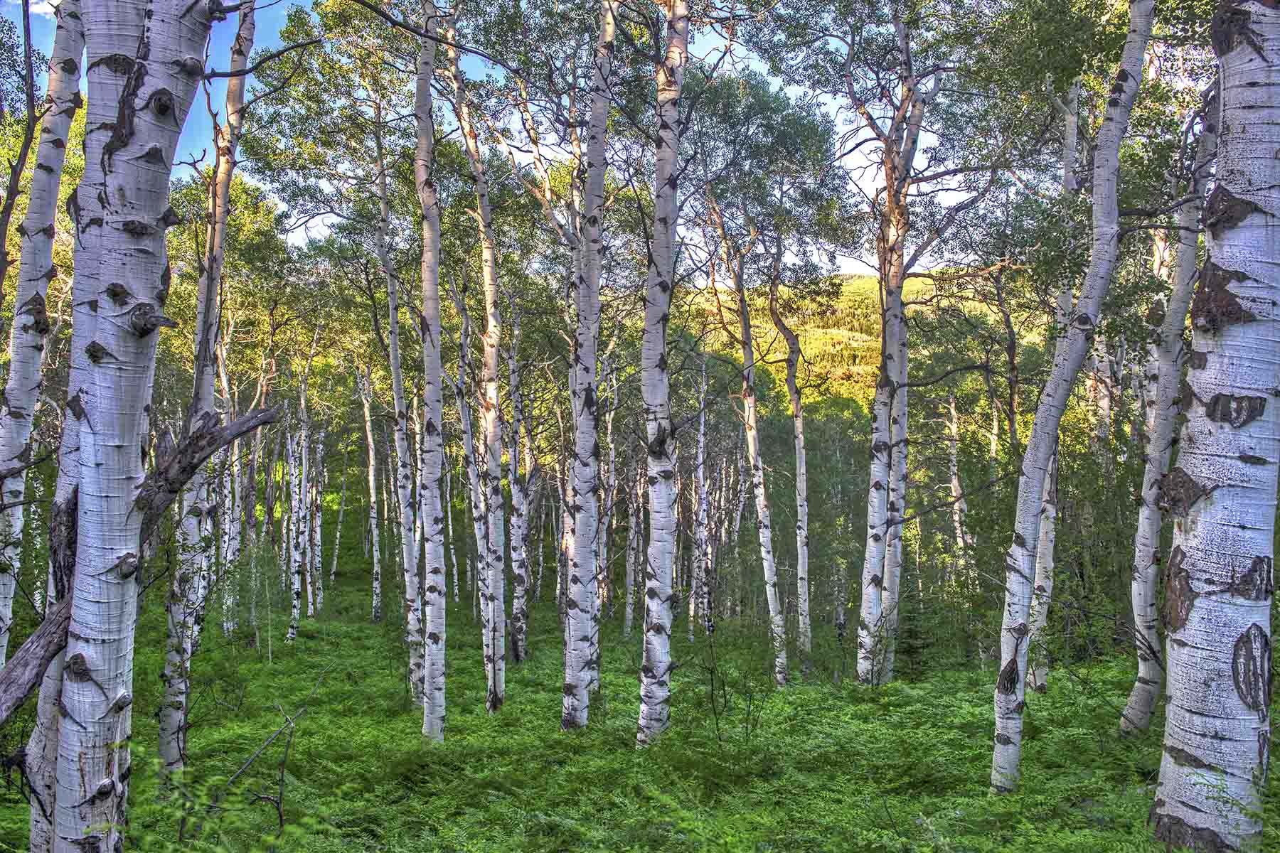 Strawberry Park Ranch property picture 31 of 68