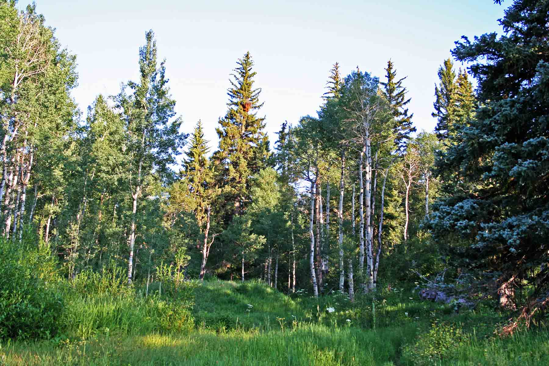 Strawberry Park Ranch property picture 42 of 68