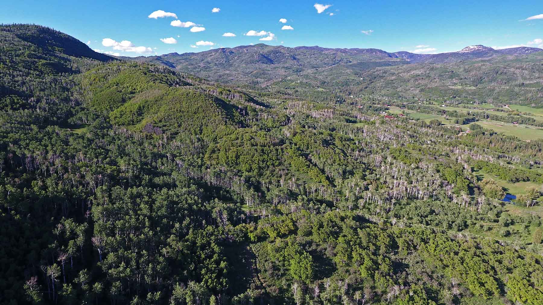 Strawberry Park Ranch property picture 30 of 68