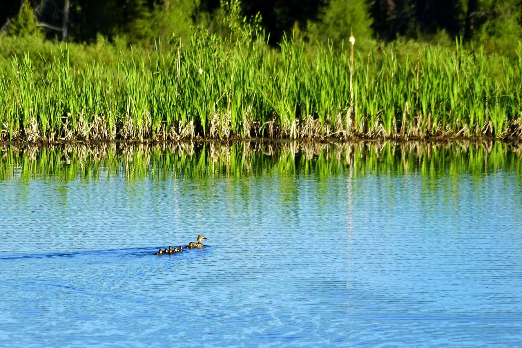 Strawberry Park Ranch property picture 67 of 68