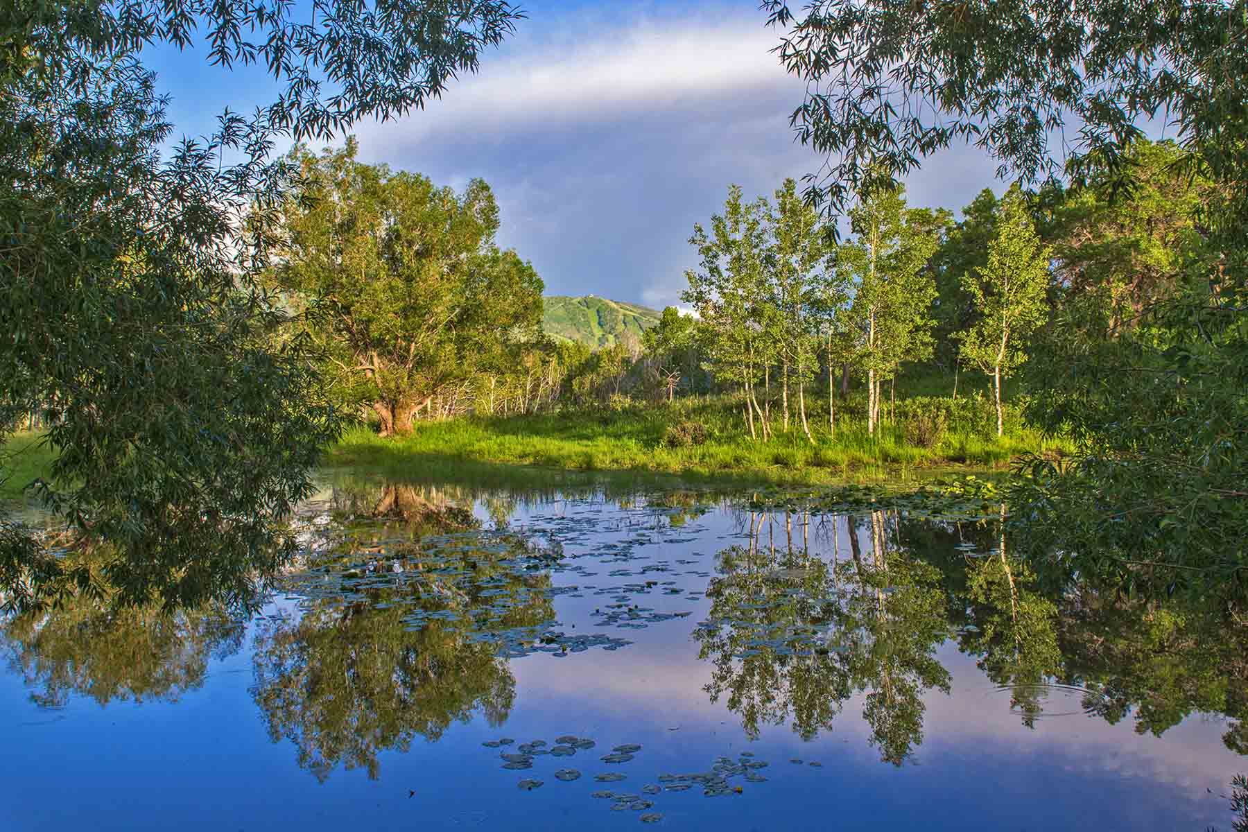 Strawberry Park Ranch property picture 32 of 68