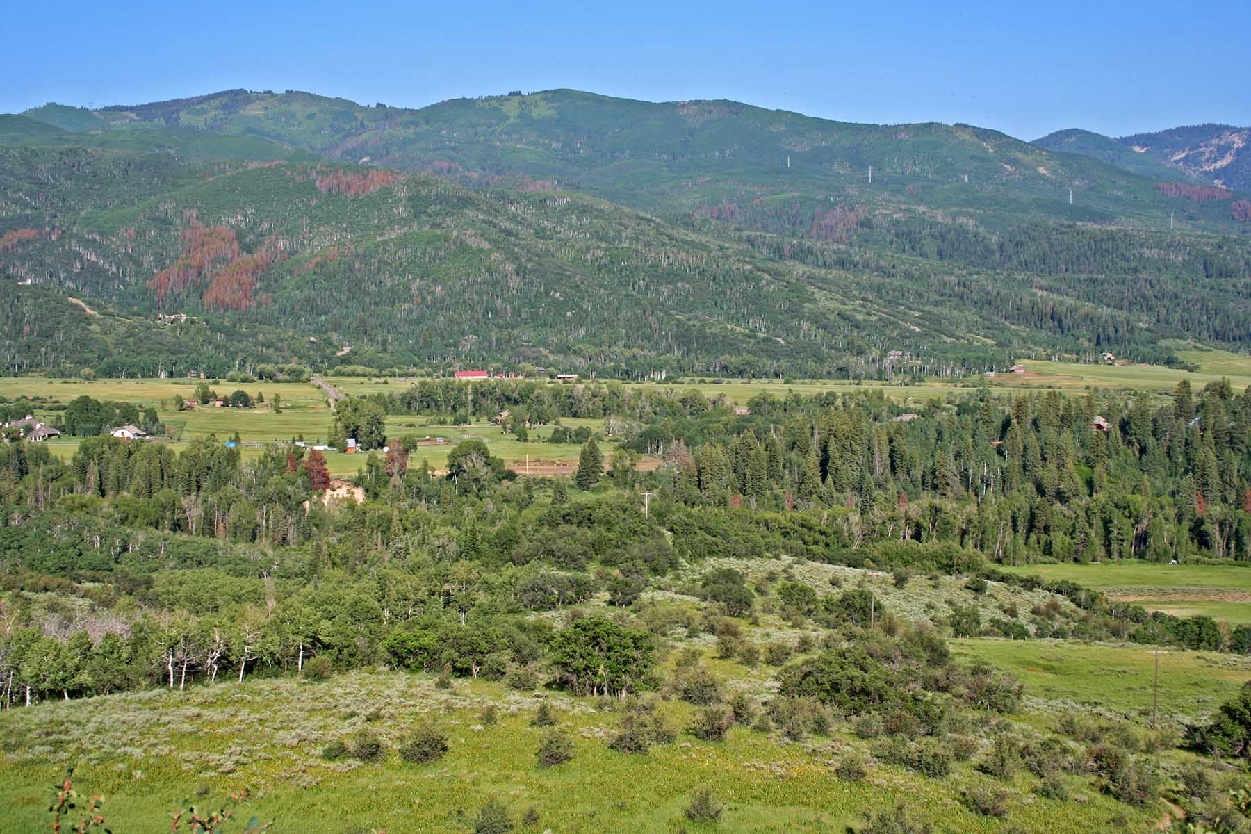 Strawberry Park Ranch property picture 39 of 68