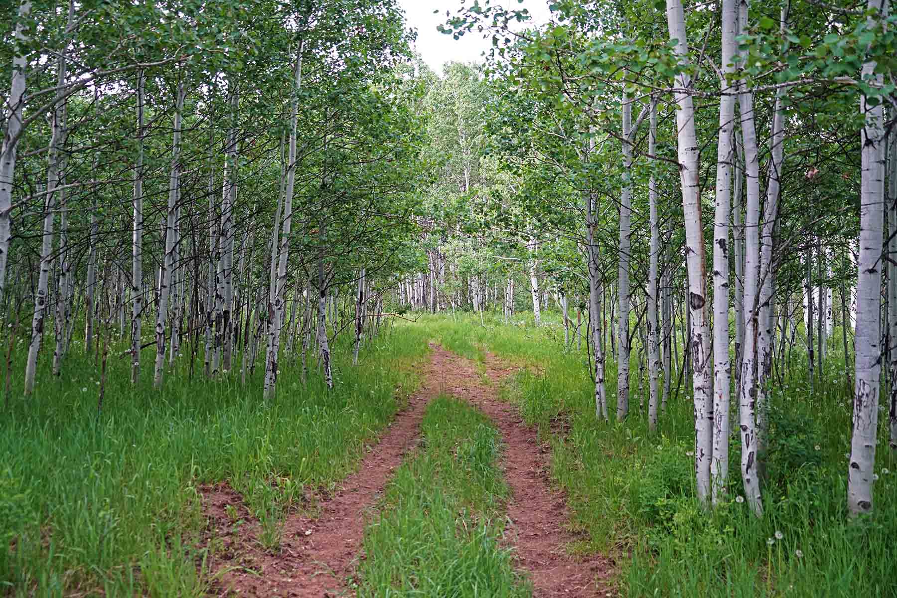 Strawberry Park Ranch property picture 16 of 68