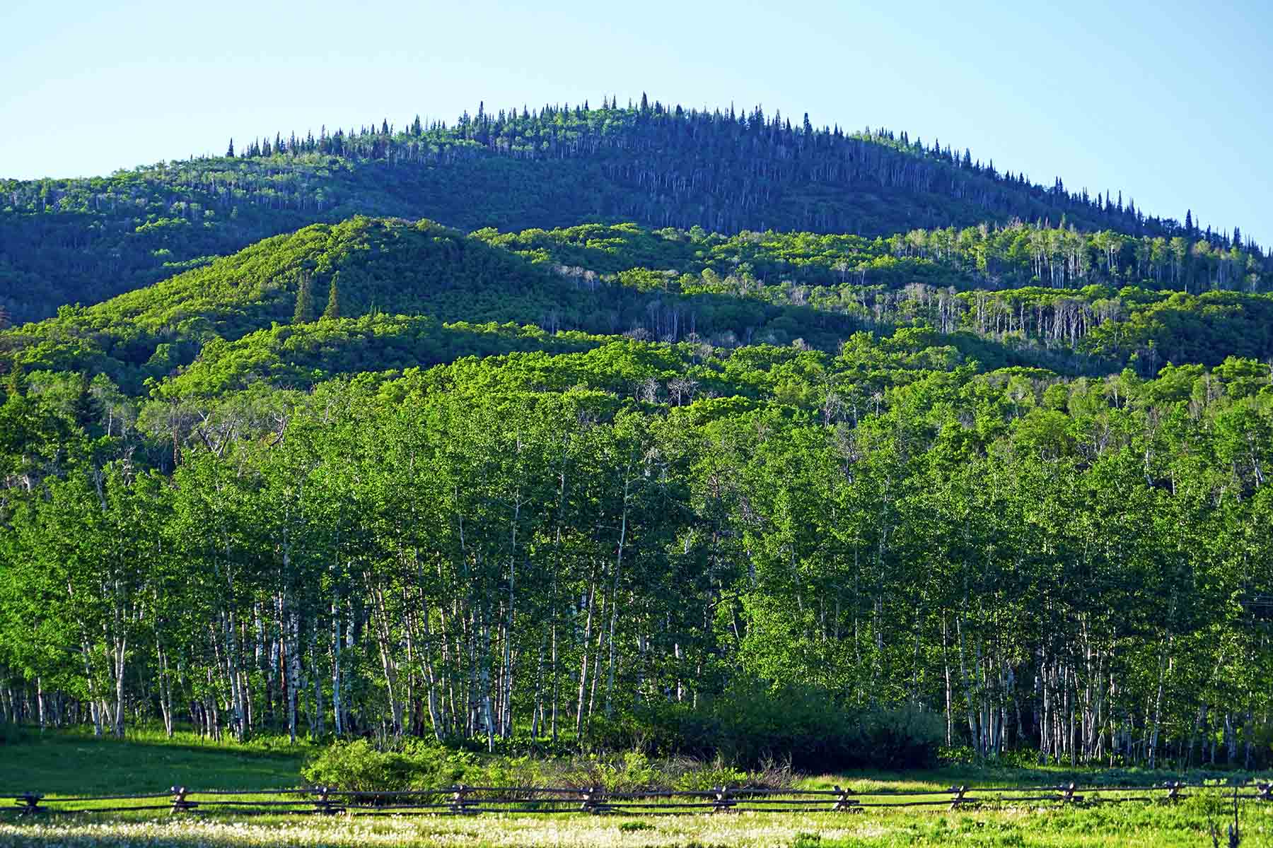 Strawberry Park Ranch property picture 29 of 68