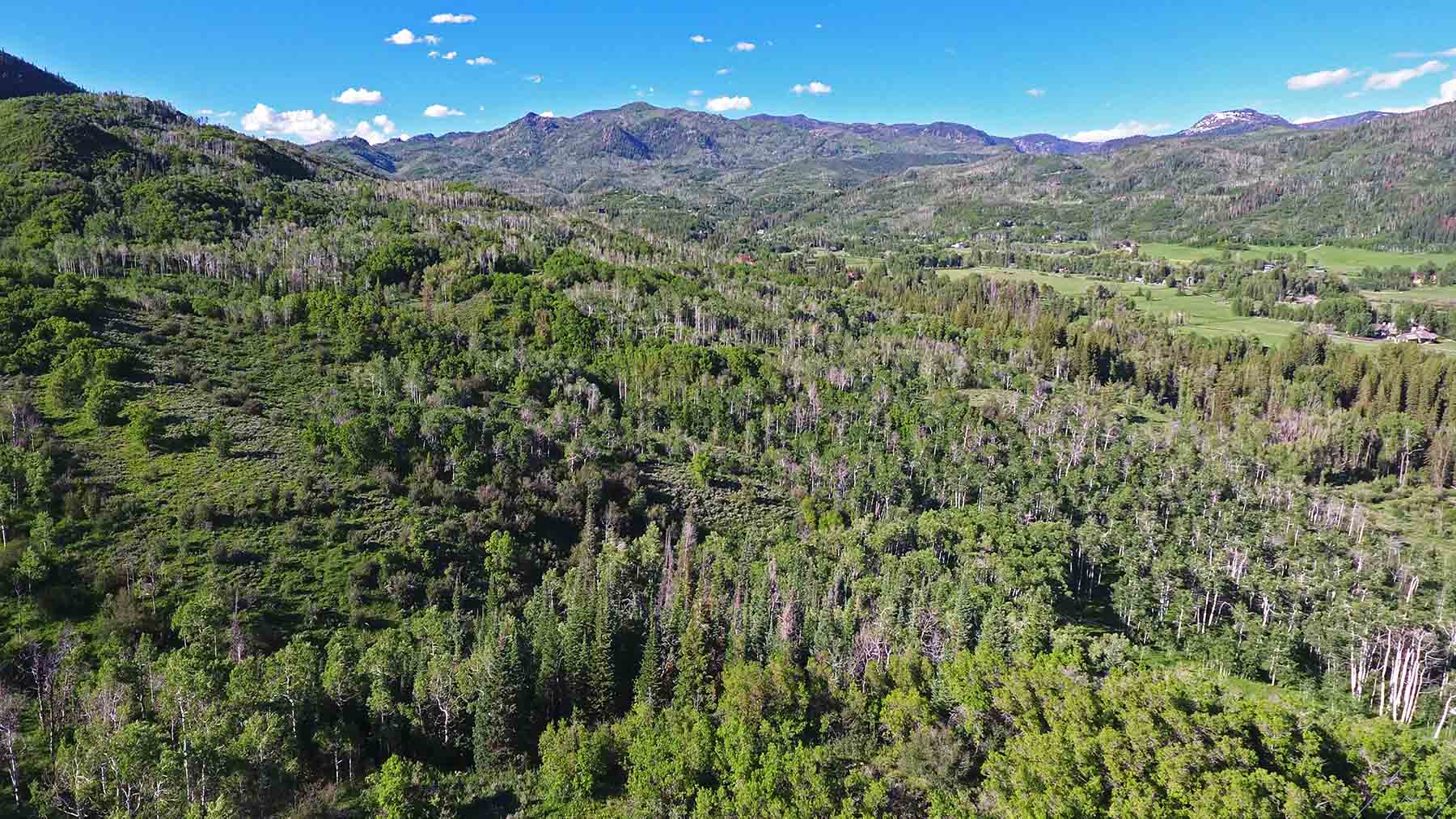 Strawberry Park Ranch property picture 63 of 68