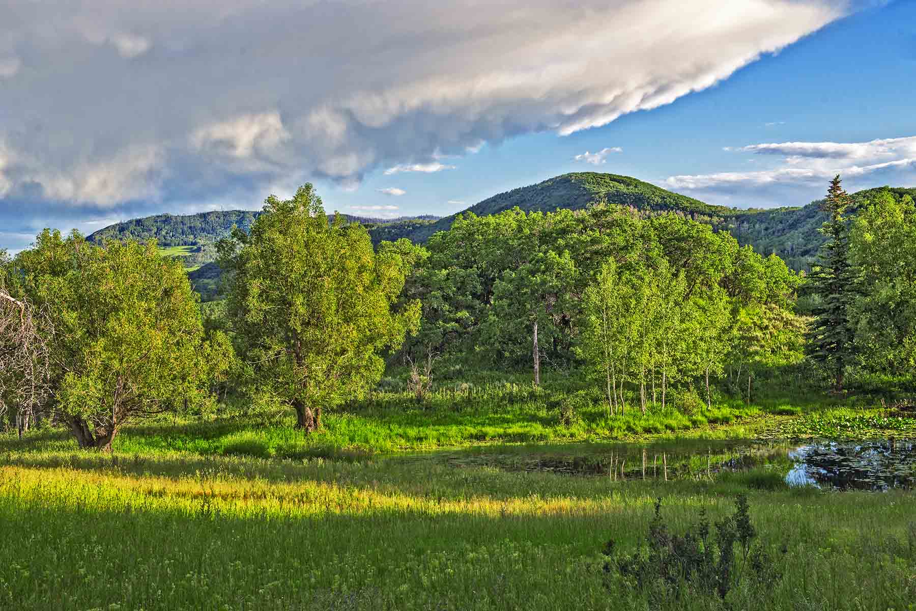 Strawberry Park Ranch property picture 45 of 68