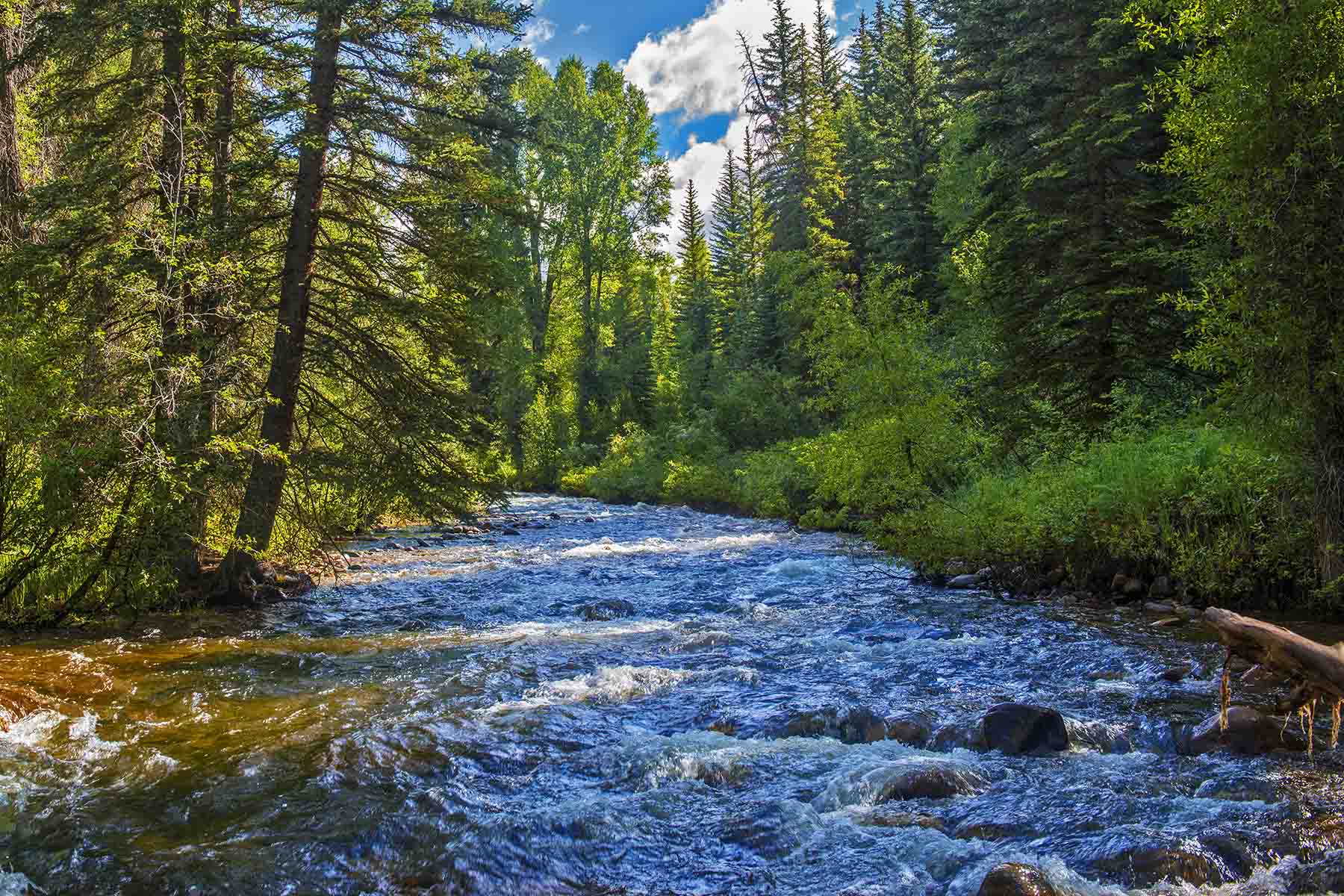 Strawberry Park Ranch property picture 49 of 68