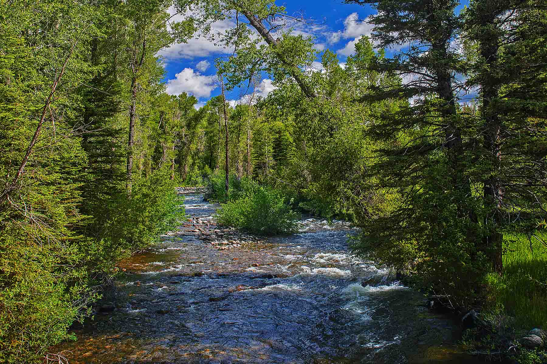 Strawberry Park Ranch property picture 28 of 68