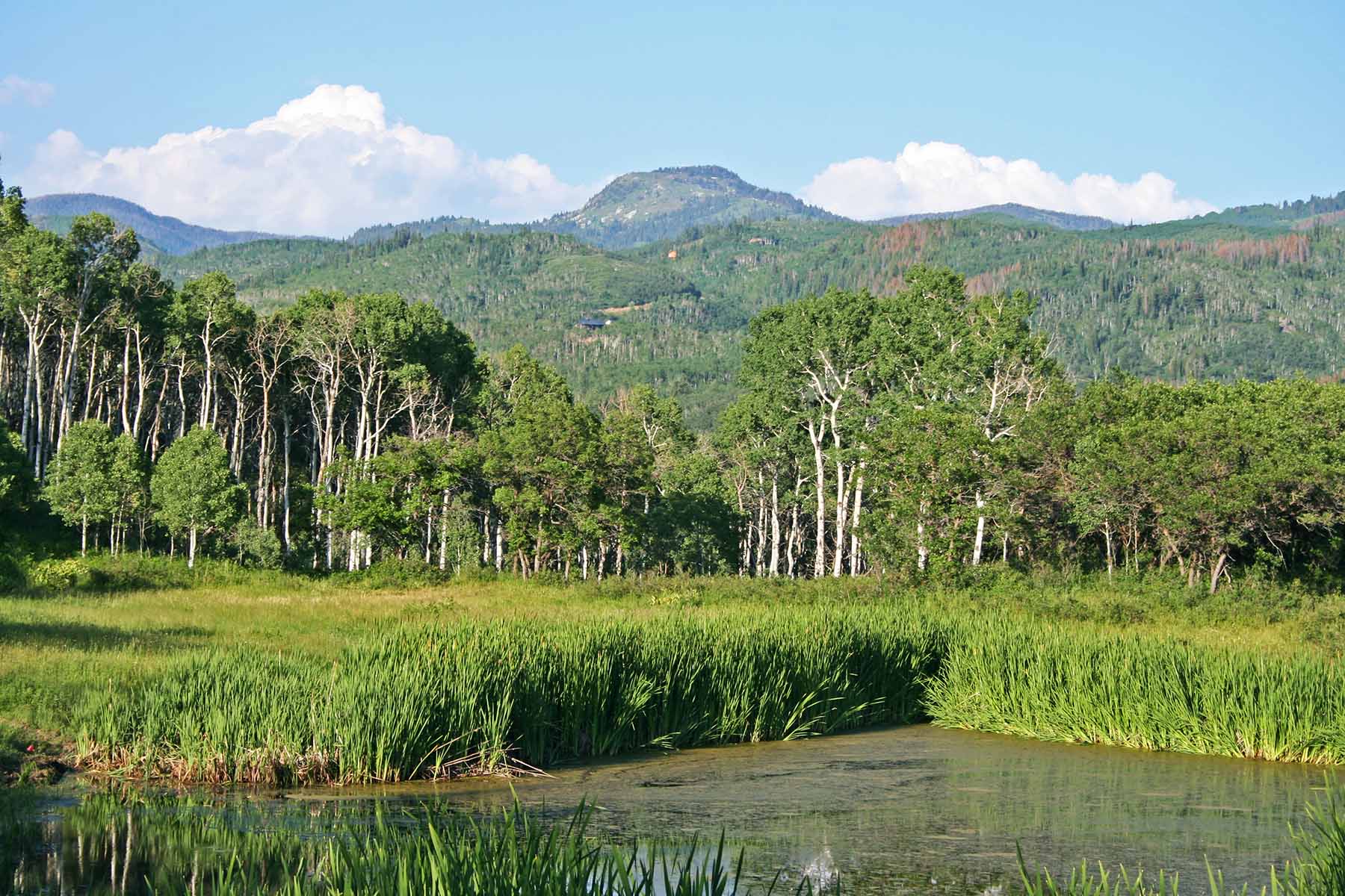 Strawberry Park Ranch property picture 37 of 68