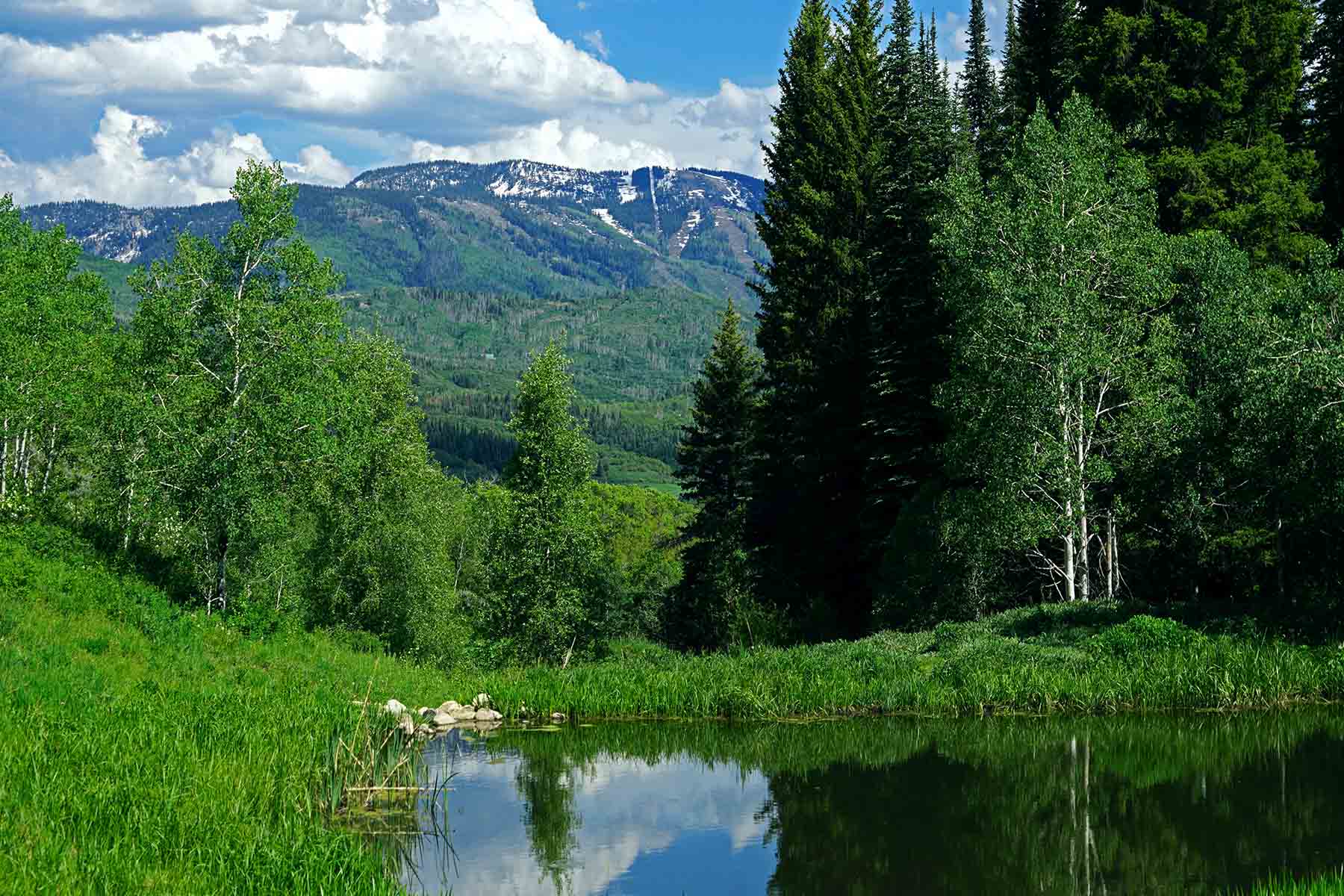 Strawberry Park Ranch property picture 22 of 68