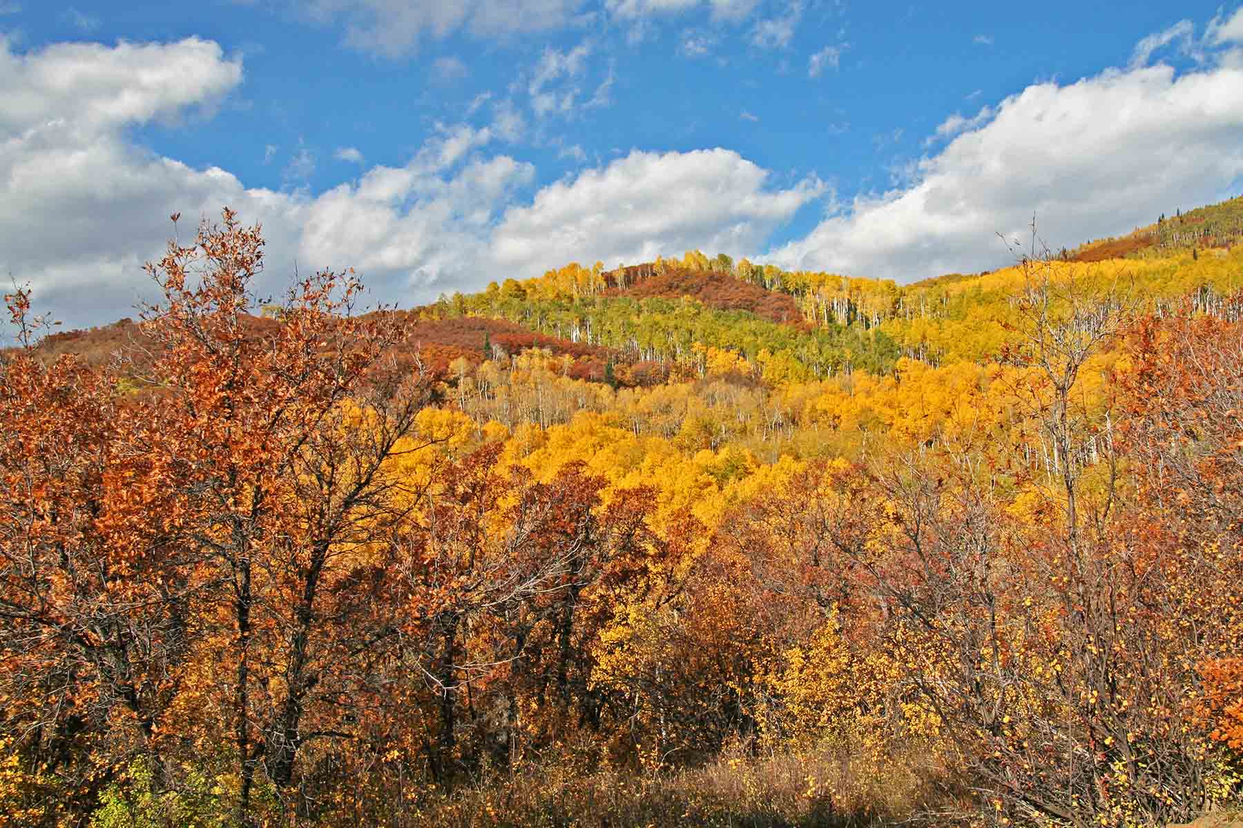 Strawberry Park Ranch property picture 33 of 68