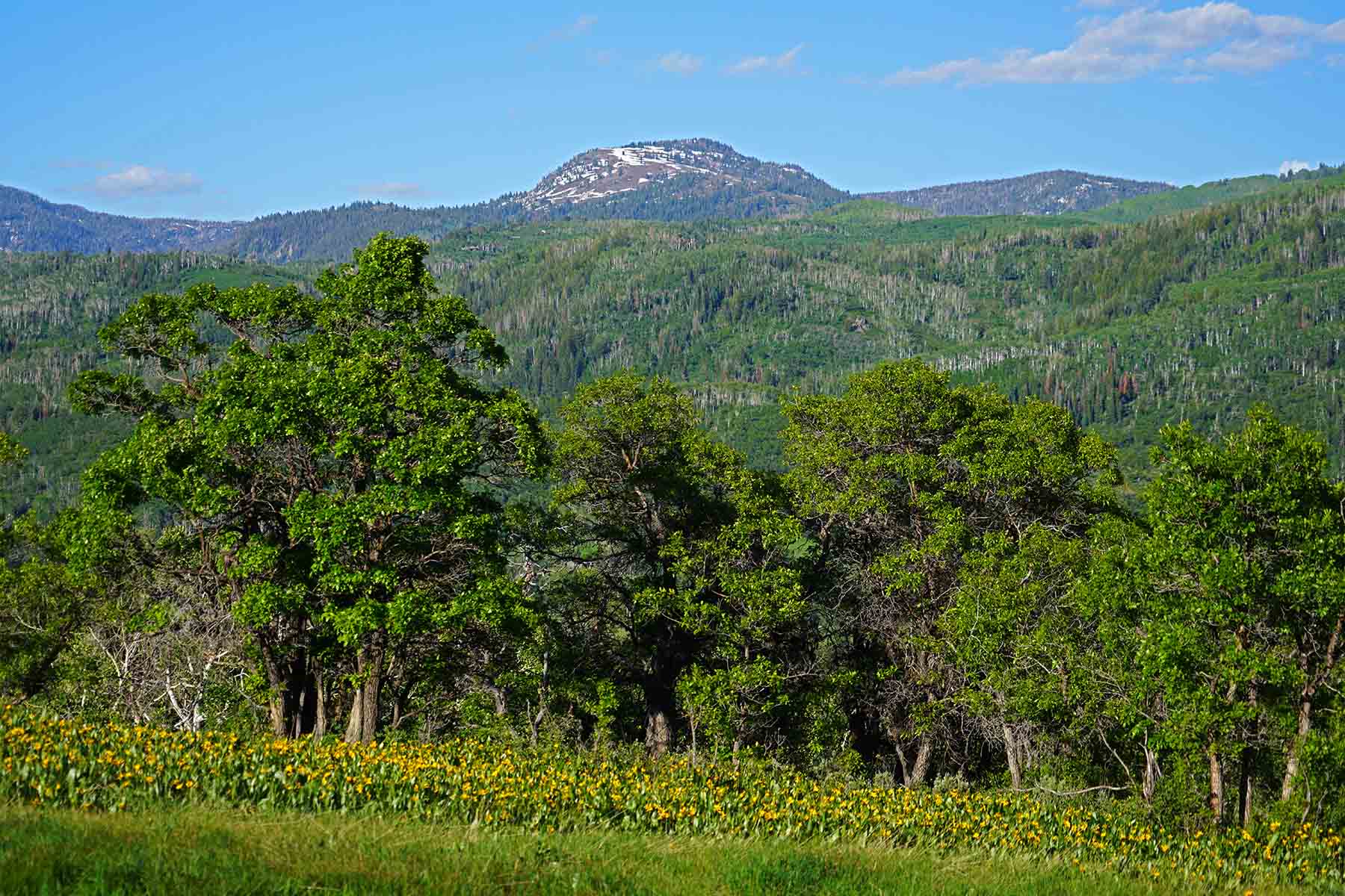 Strawberry Park Ranch property picture 64 of 68