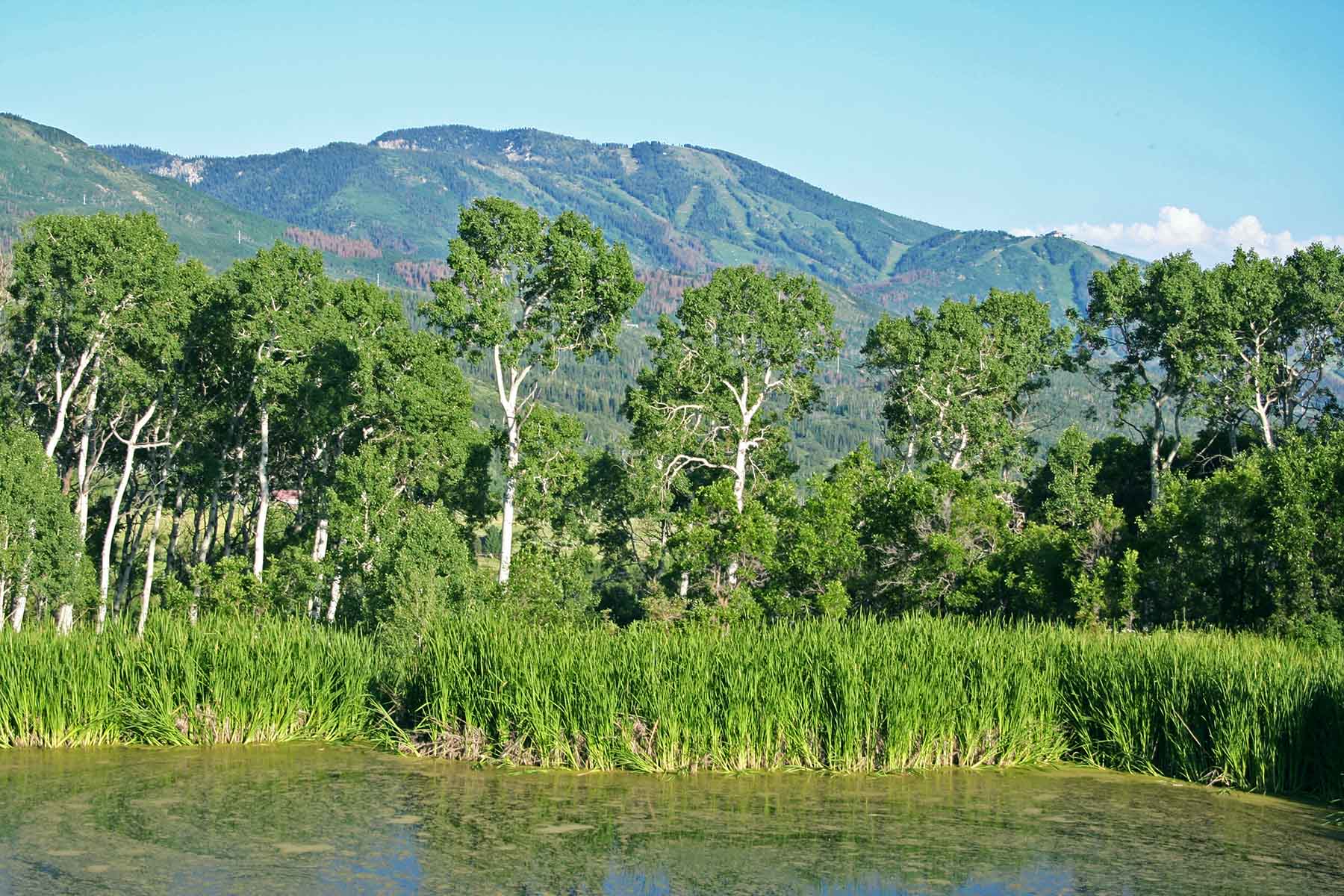 Strawberry Park Ranch property picture 25 of 68