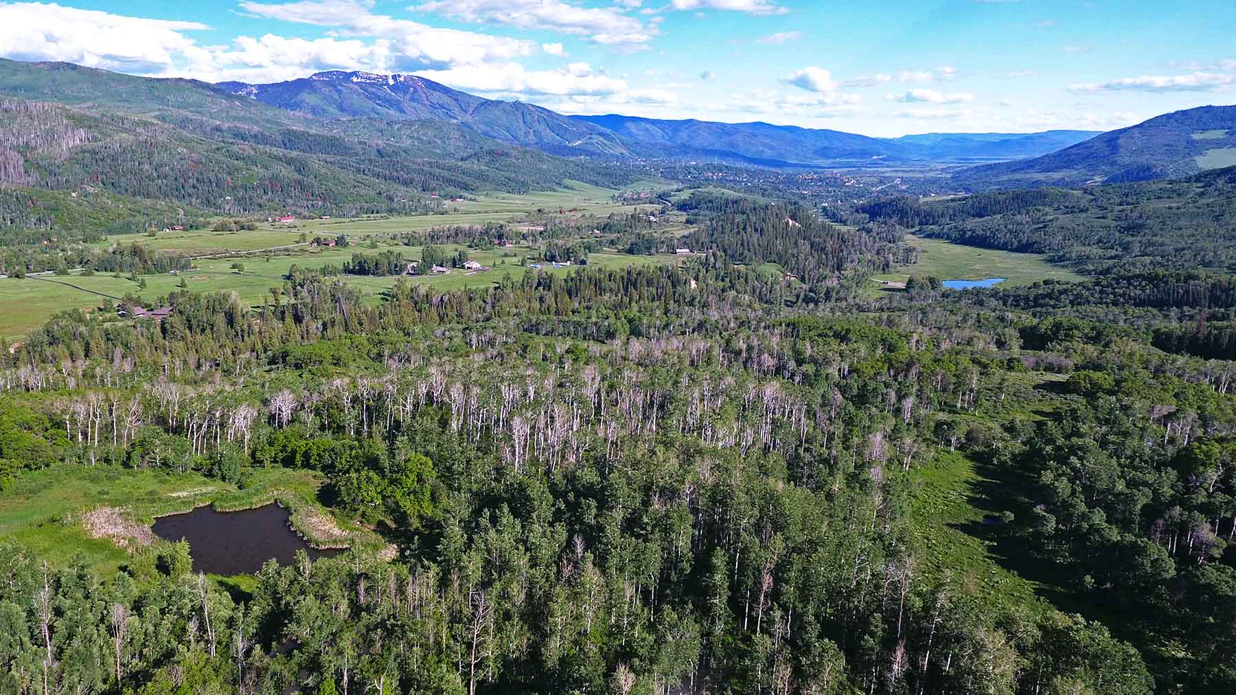 Strawberry Park Ranch property picture 7 of 68