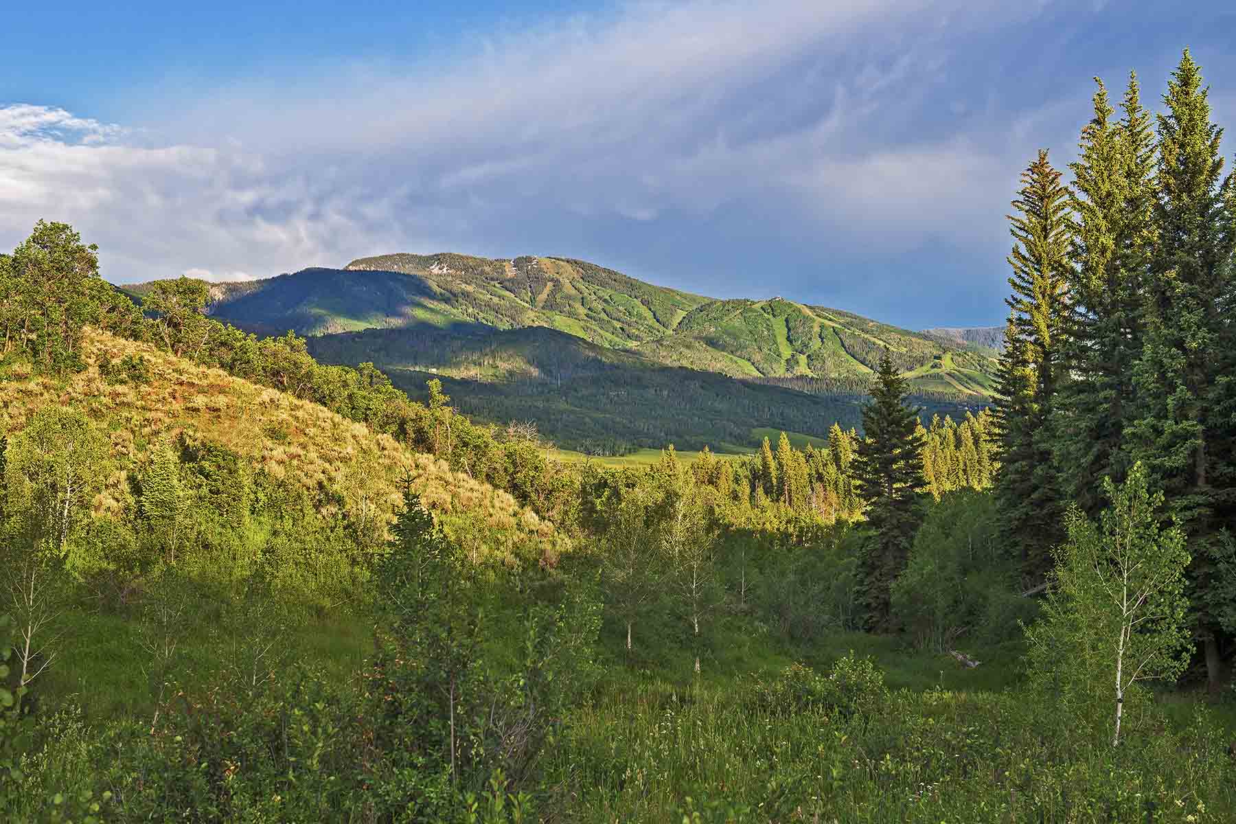 Strawberry Park Ranch property picture 46 of 68