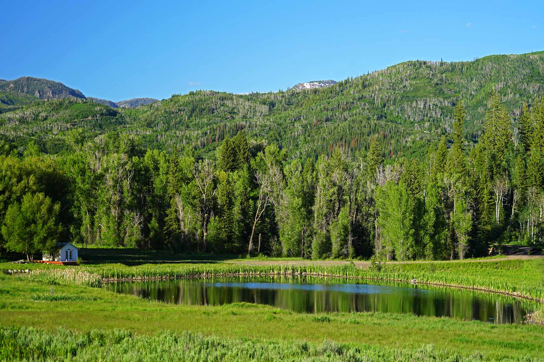 Strawberry Park Ranch property picture 66 of 68