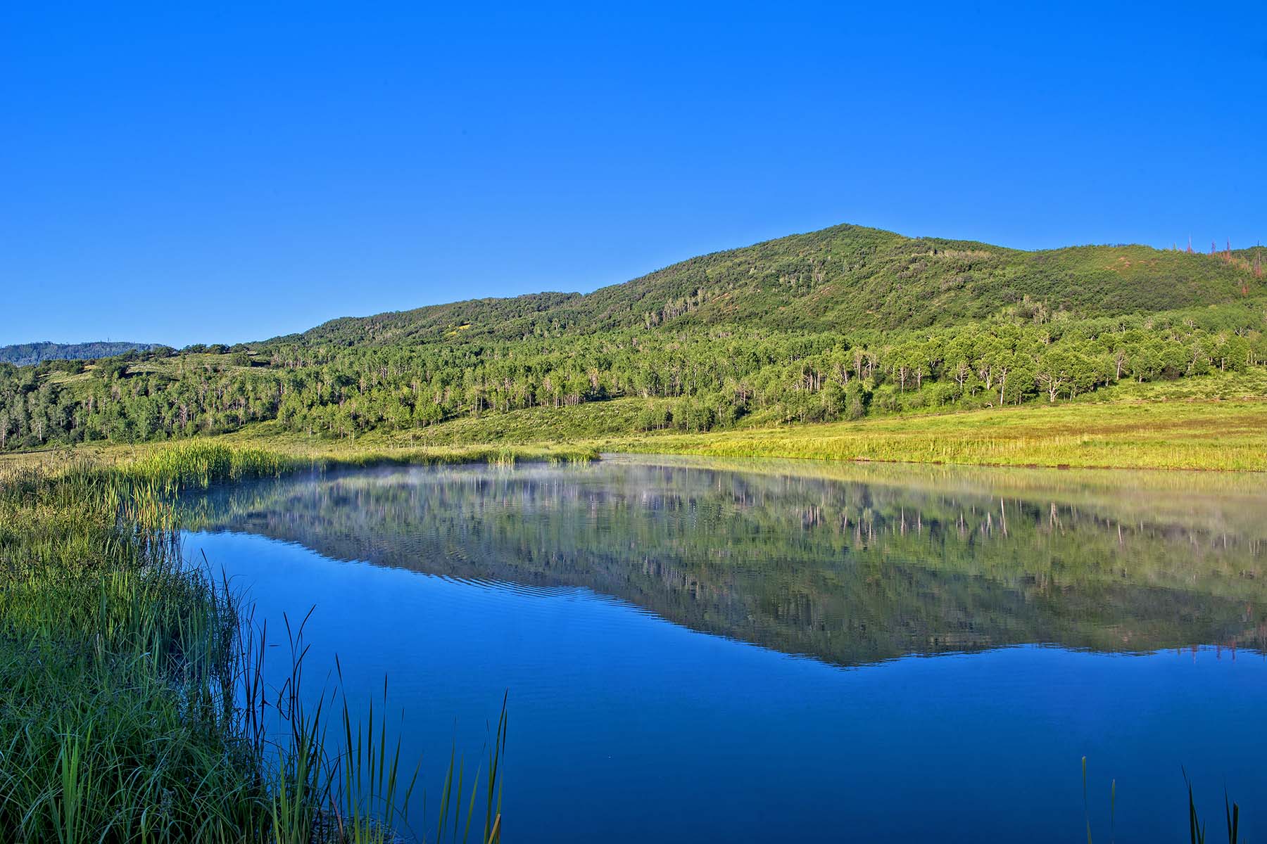 Strawberry Park Ranch property picture 23 of 68