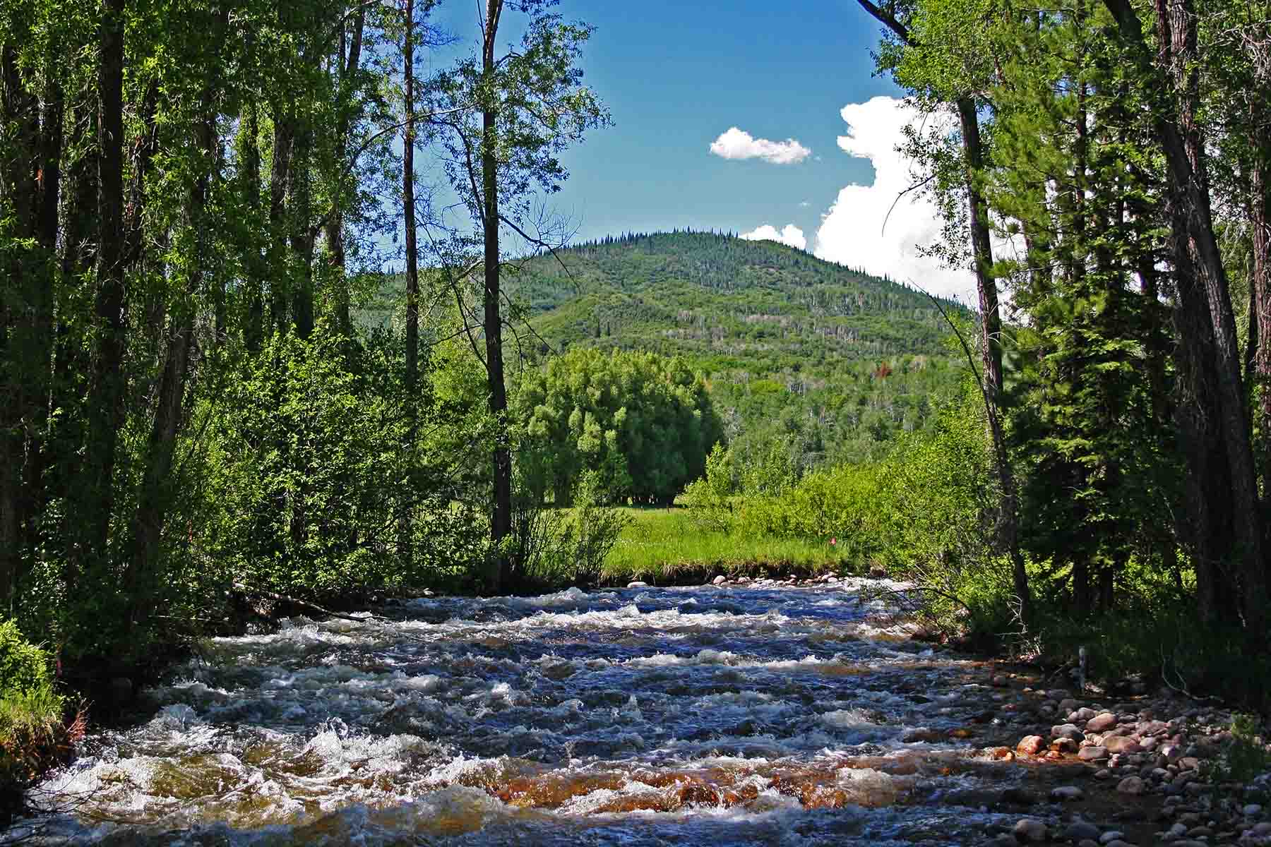 Strawberry Park Ranch property picture 15 of 68